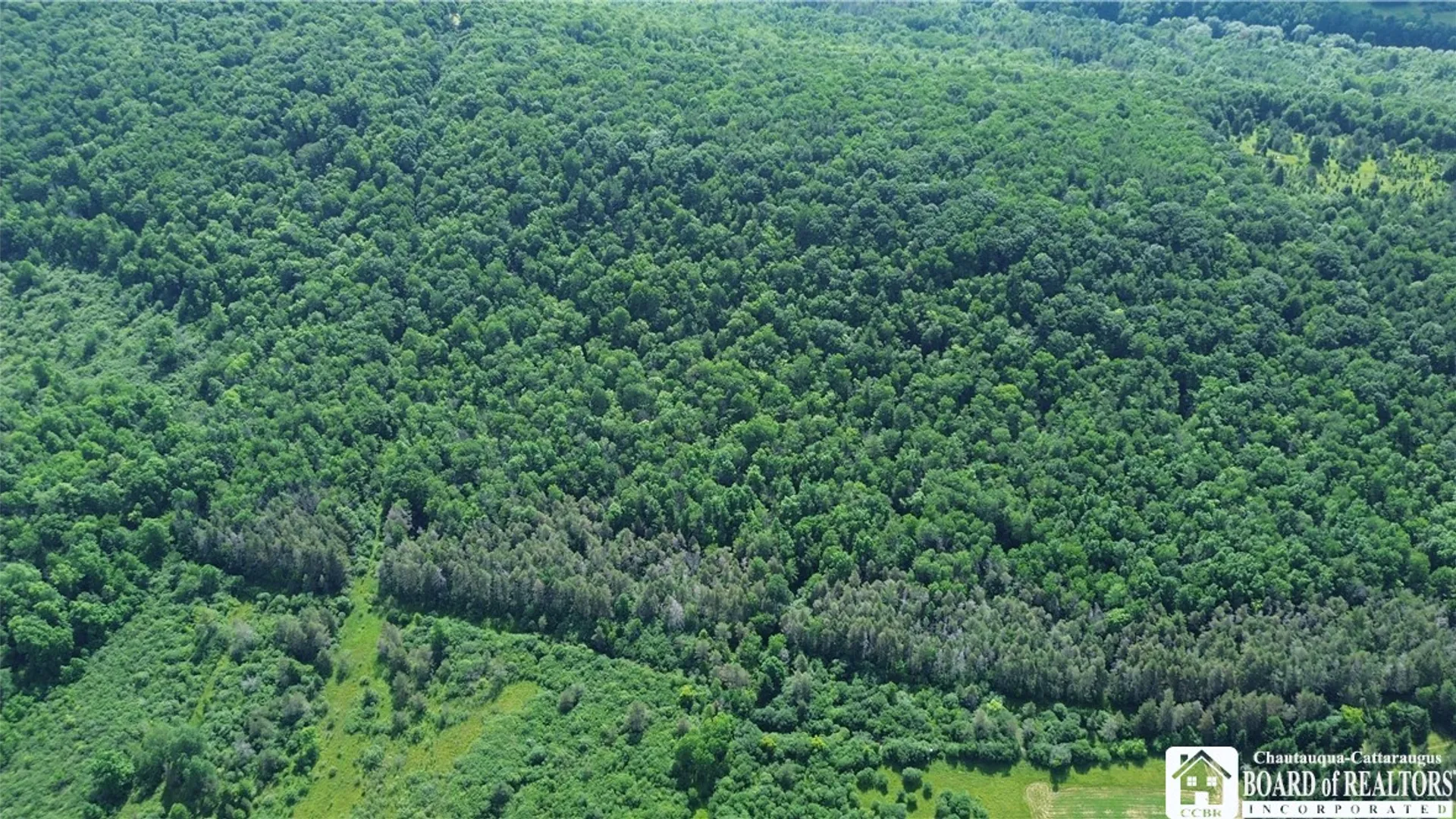 Property at 2710 County Road 9, Scio, NY 14880 5