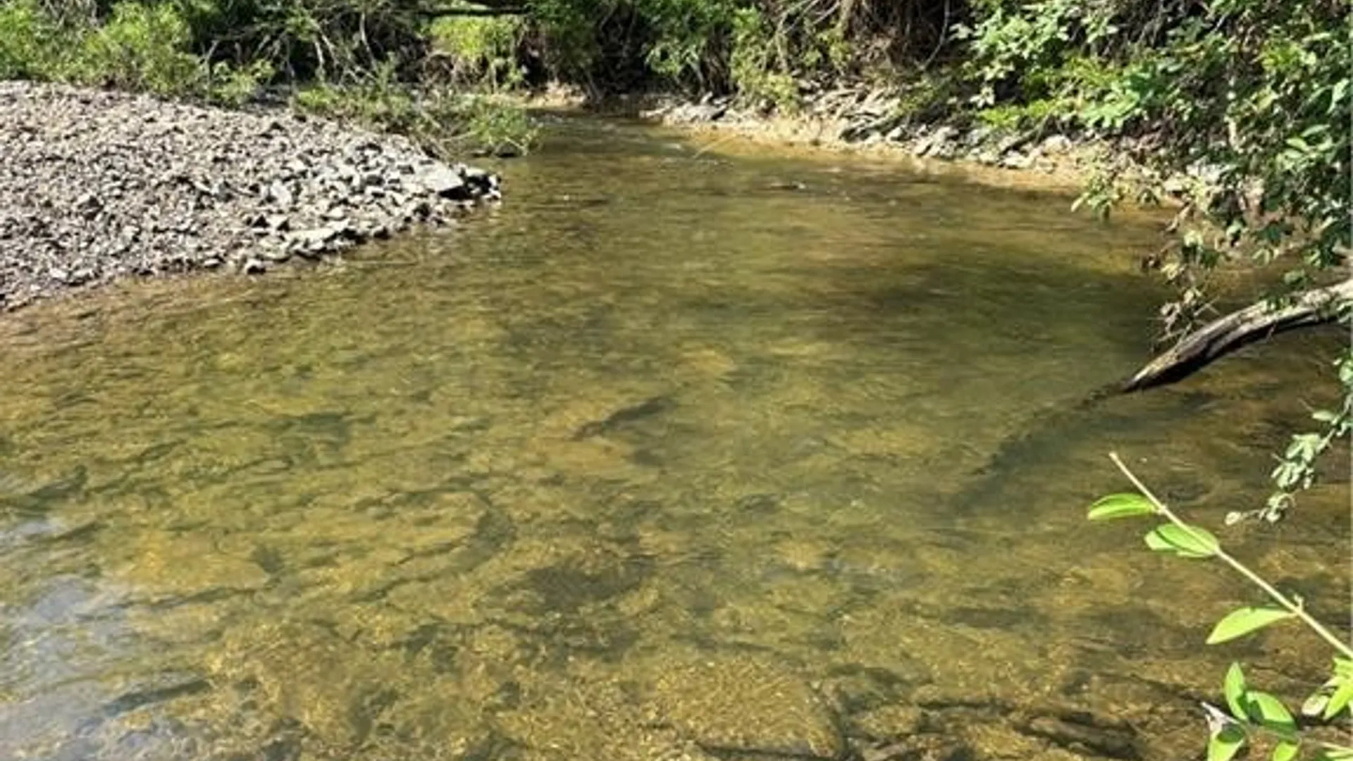 Property at 2710 County Road 9, Scio, NY 14880 9