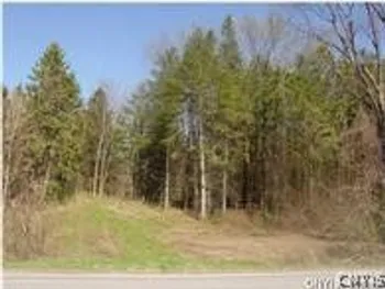 0 Nelson Road, Lenox, NY 13032