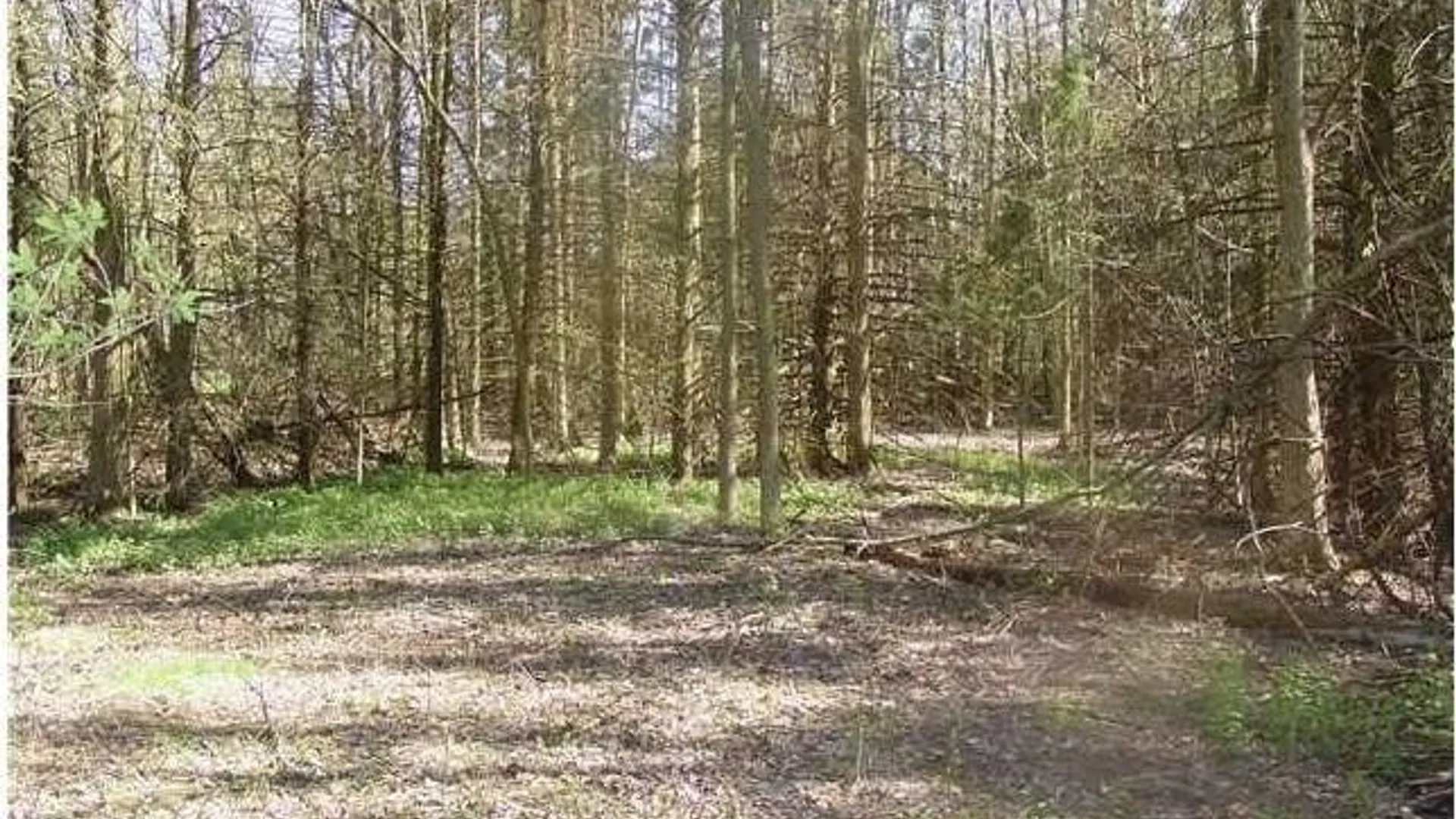 Property at 0 Nelson Road, Lenox, NY 13032 2