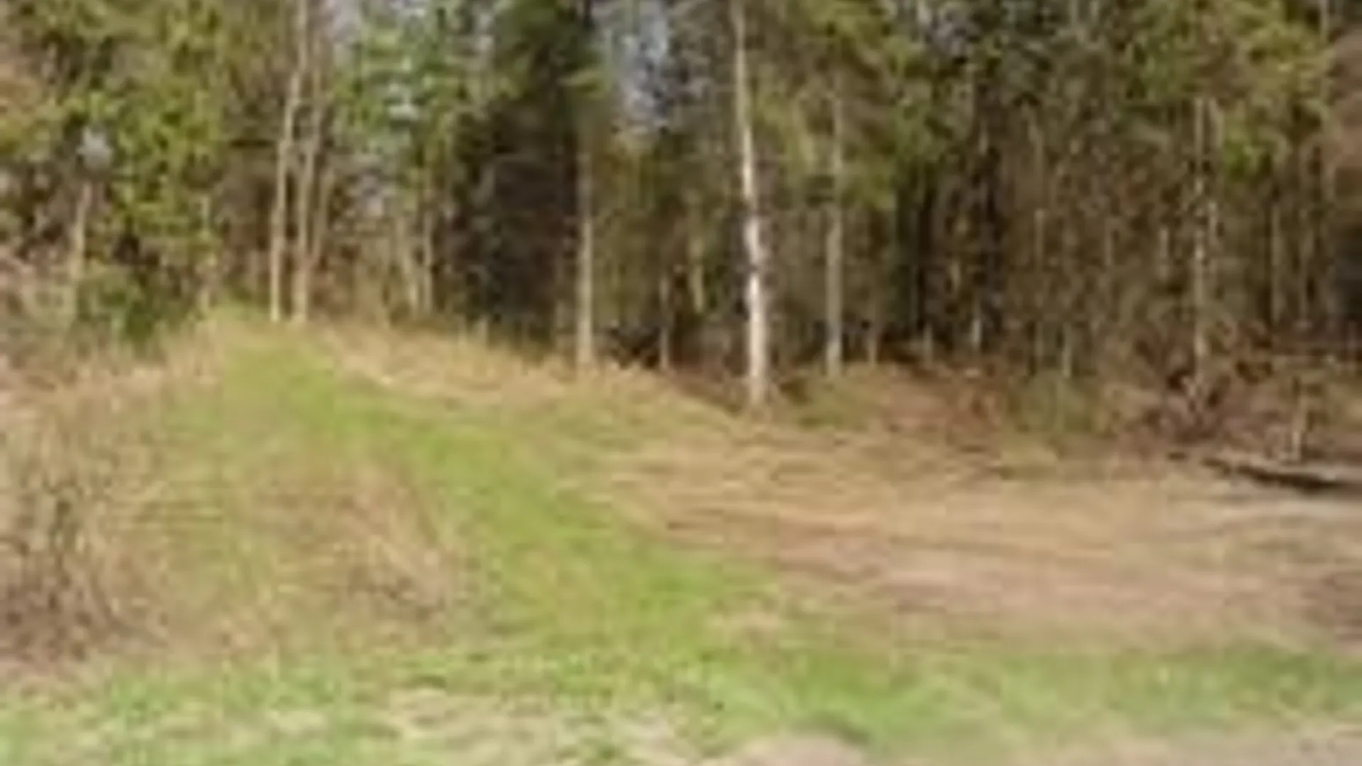 Property at 0 Nelson Road, Lenox, NY 13032 3