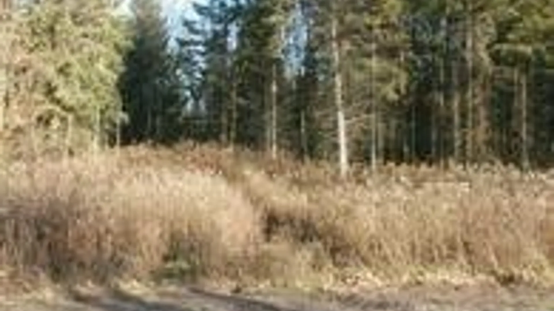 Property at 0 Nelson Road, Lenox, NY 13032 4