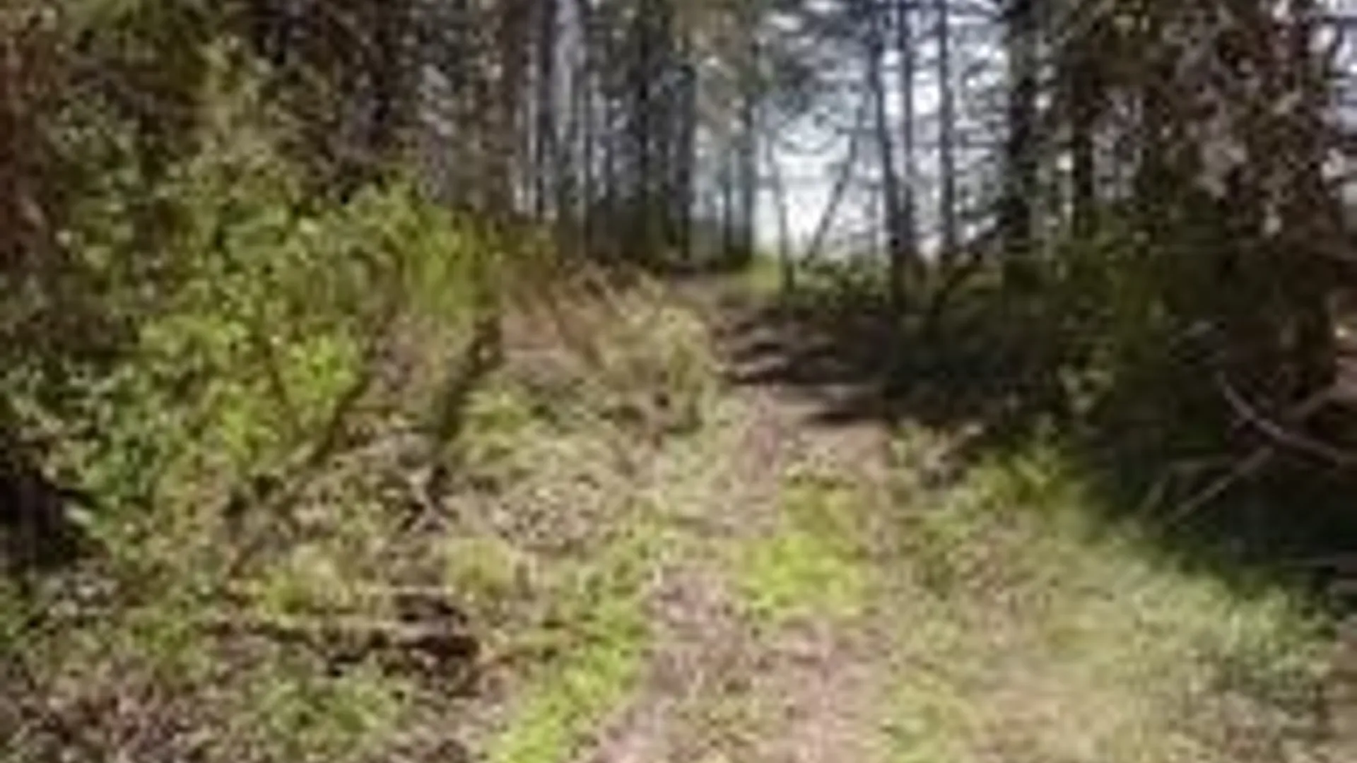 Property at 0 Nelson Road, Lenox, NY 13032 5