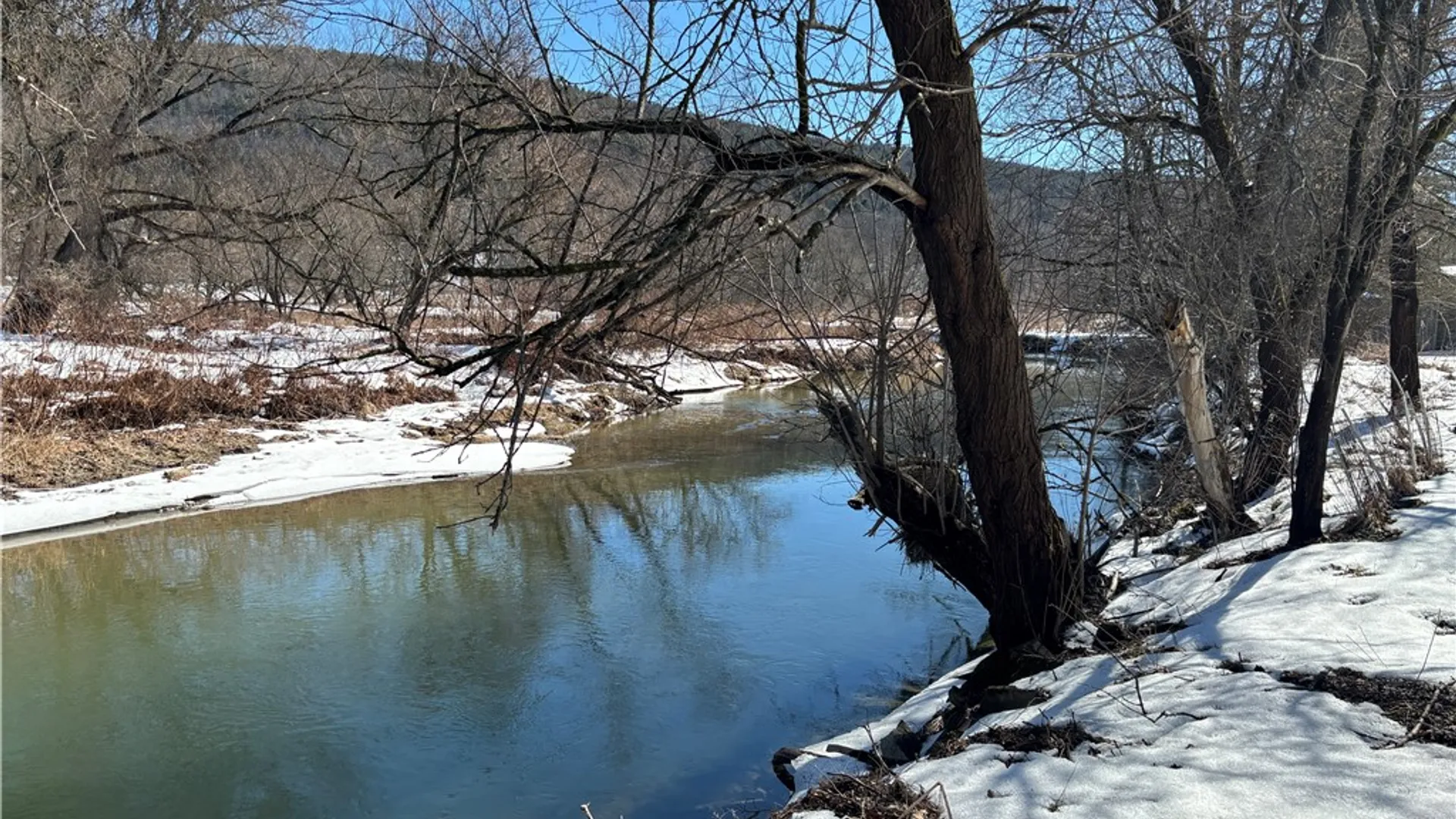 Property at 118 Main Street, Laurens, NY 13796 46