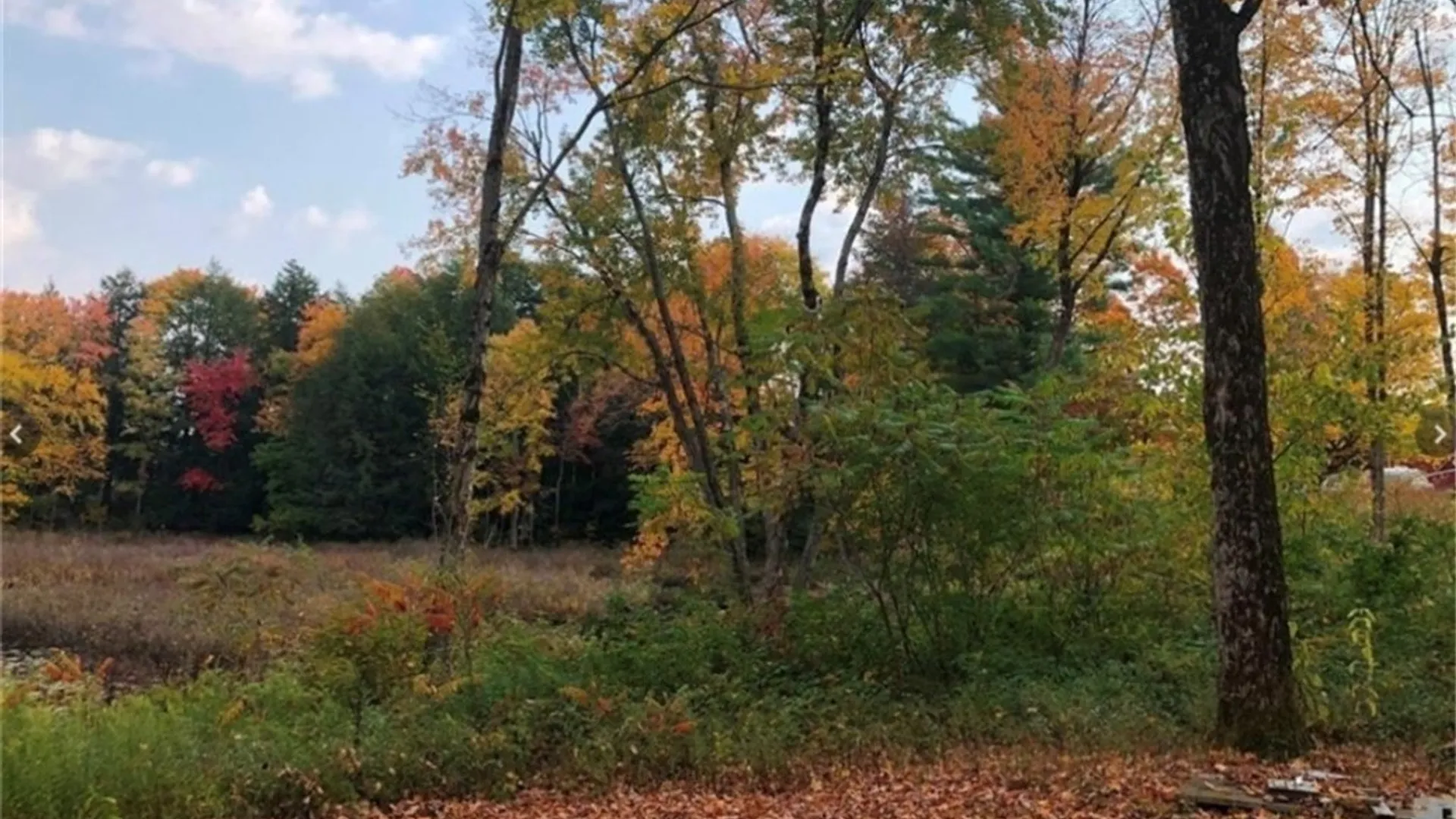 Property at Kasoag Lake Road, Williamstown, NY 13302 10