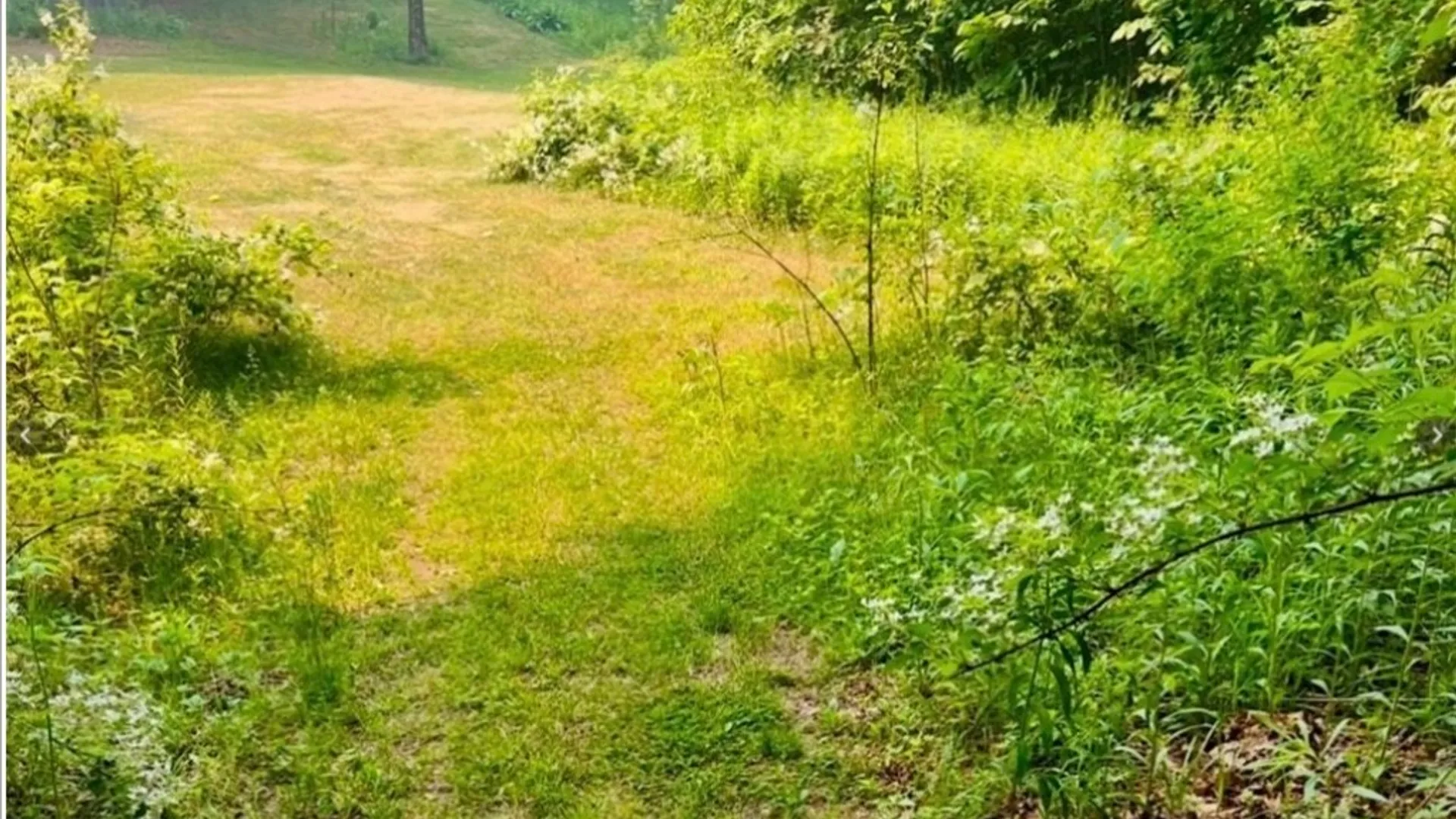 Property at Kasoag Lake Road, Williamstown, NY 13302 11