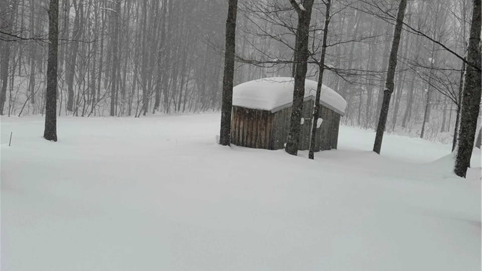 Property at Kasoag Lake Road, Williamstown, NY 13302 4