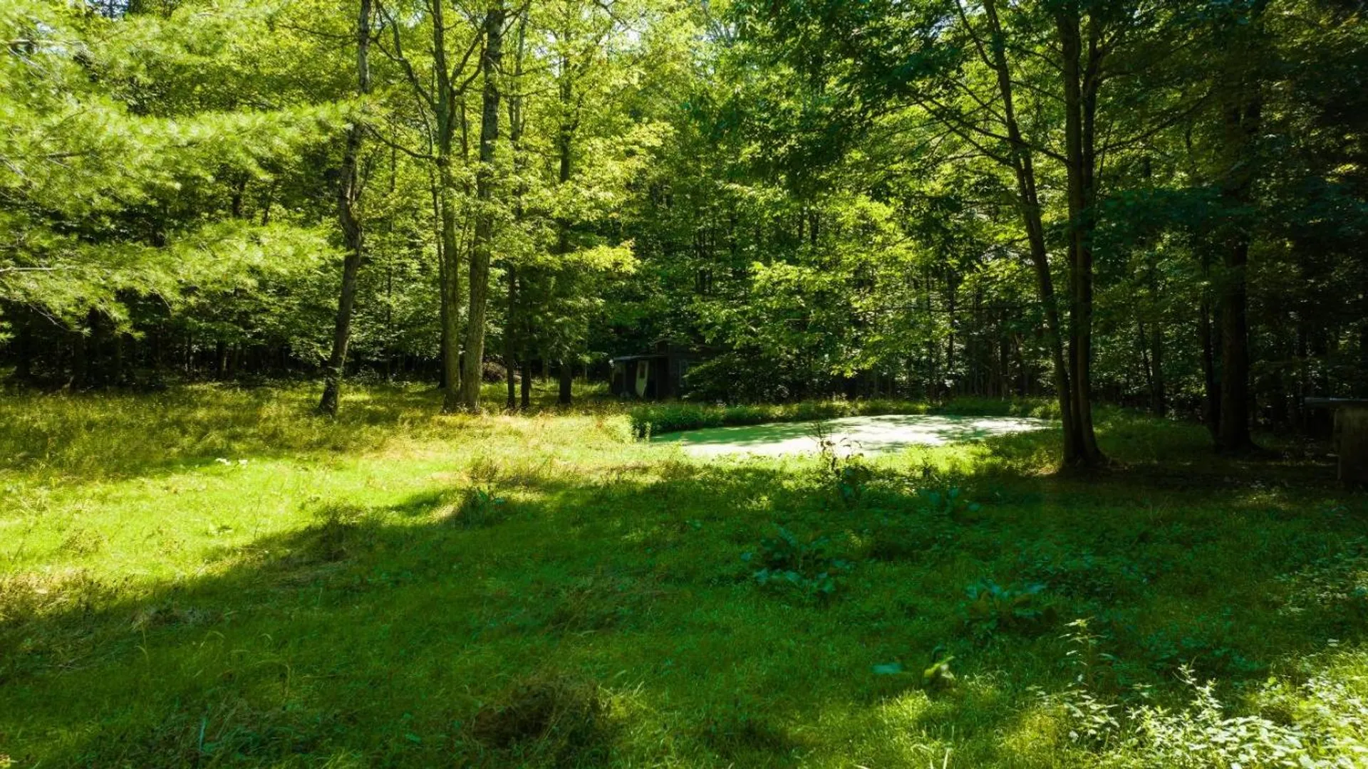 Property at 56 Belles Hollow Drive, Newfield, NY 14867 3