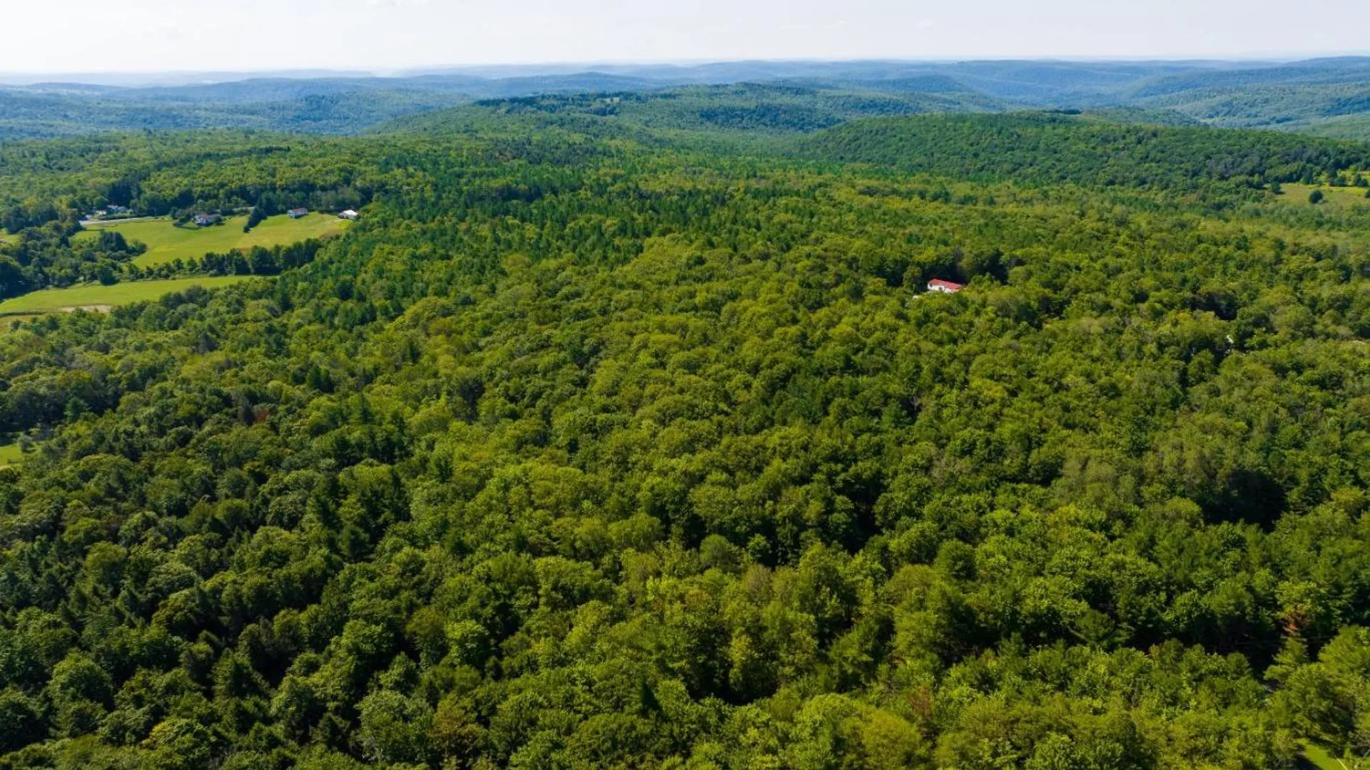 Property at 56 Belles Hollow Drive, Newfield, NY 14867 5