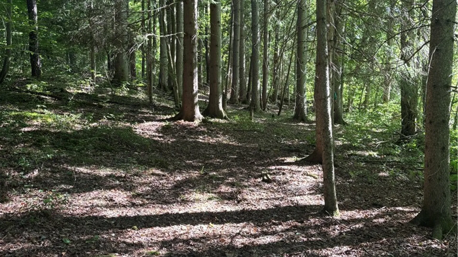 Property at 2045 Baxter Mills Road, Ischua, NY 14743 10