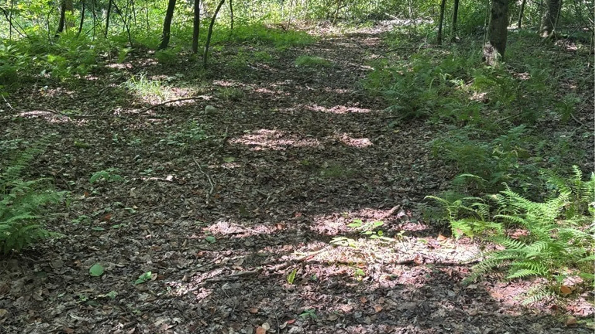 Property at 2045 Baxter Mills Road, Ischua, NY 14743 11