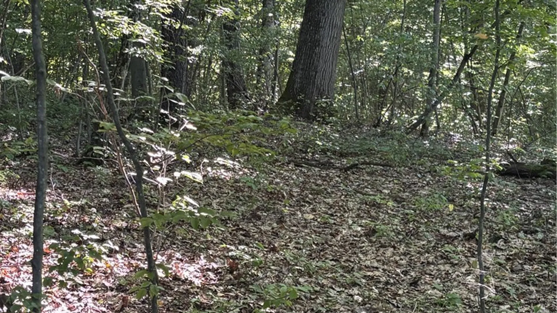 Property at 2045 Baxter Mills Road, Ischua, NY 14743 14