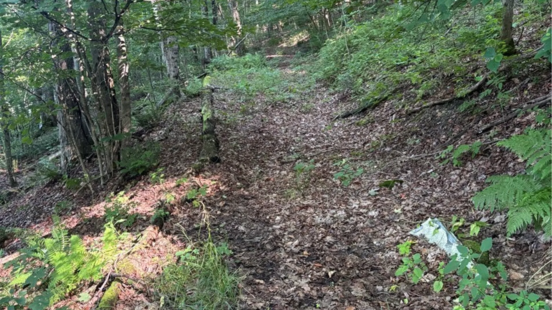 Property at 2045 Baxter Mills Road, Ischua, NY 14743 17