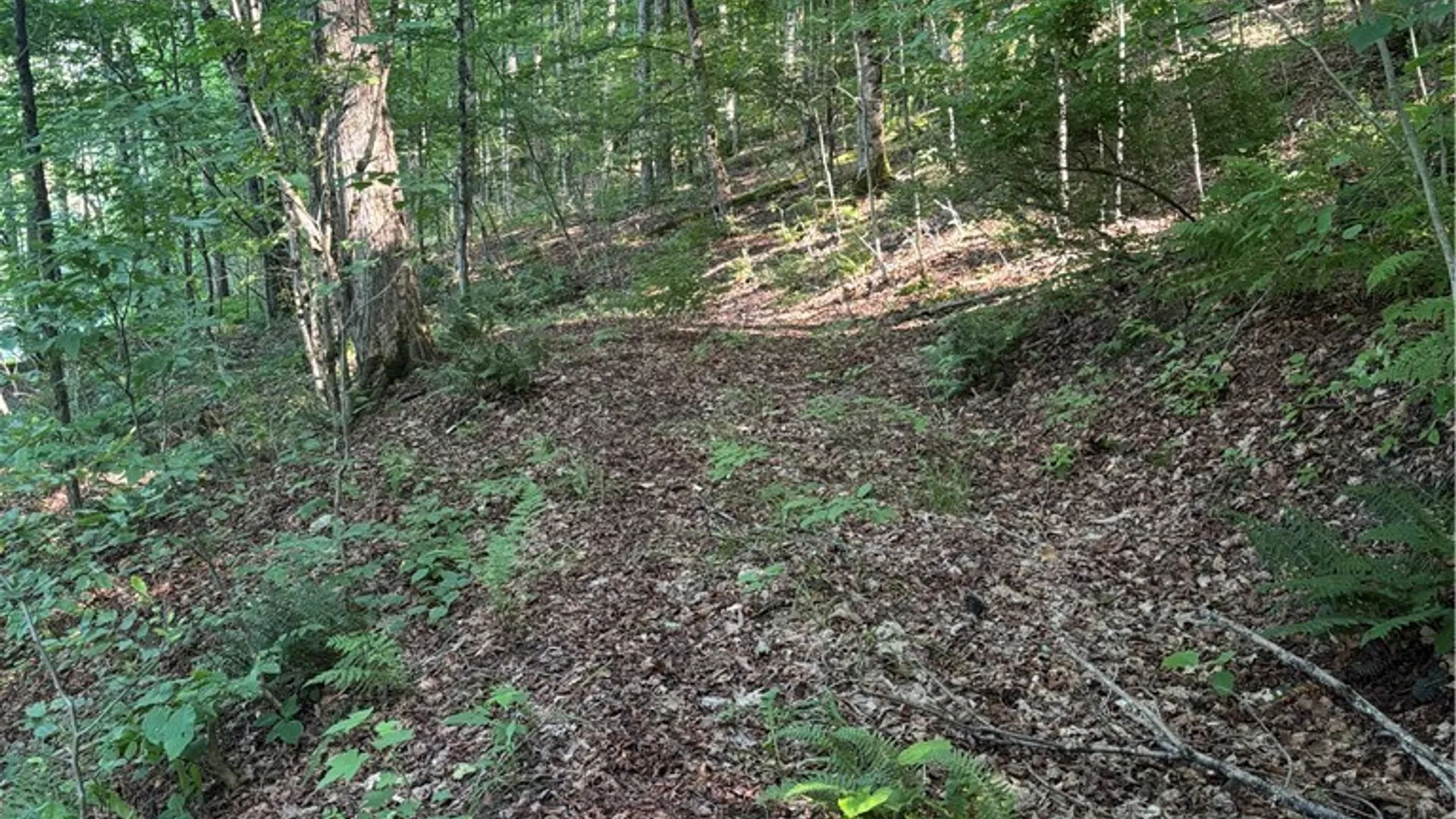 Property at 2045 Baxter Mills Road, Ischua, NY 14743 18