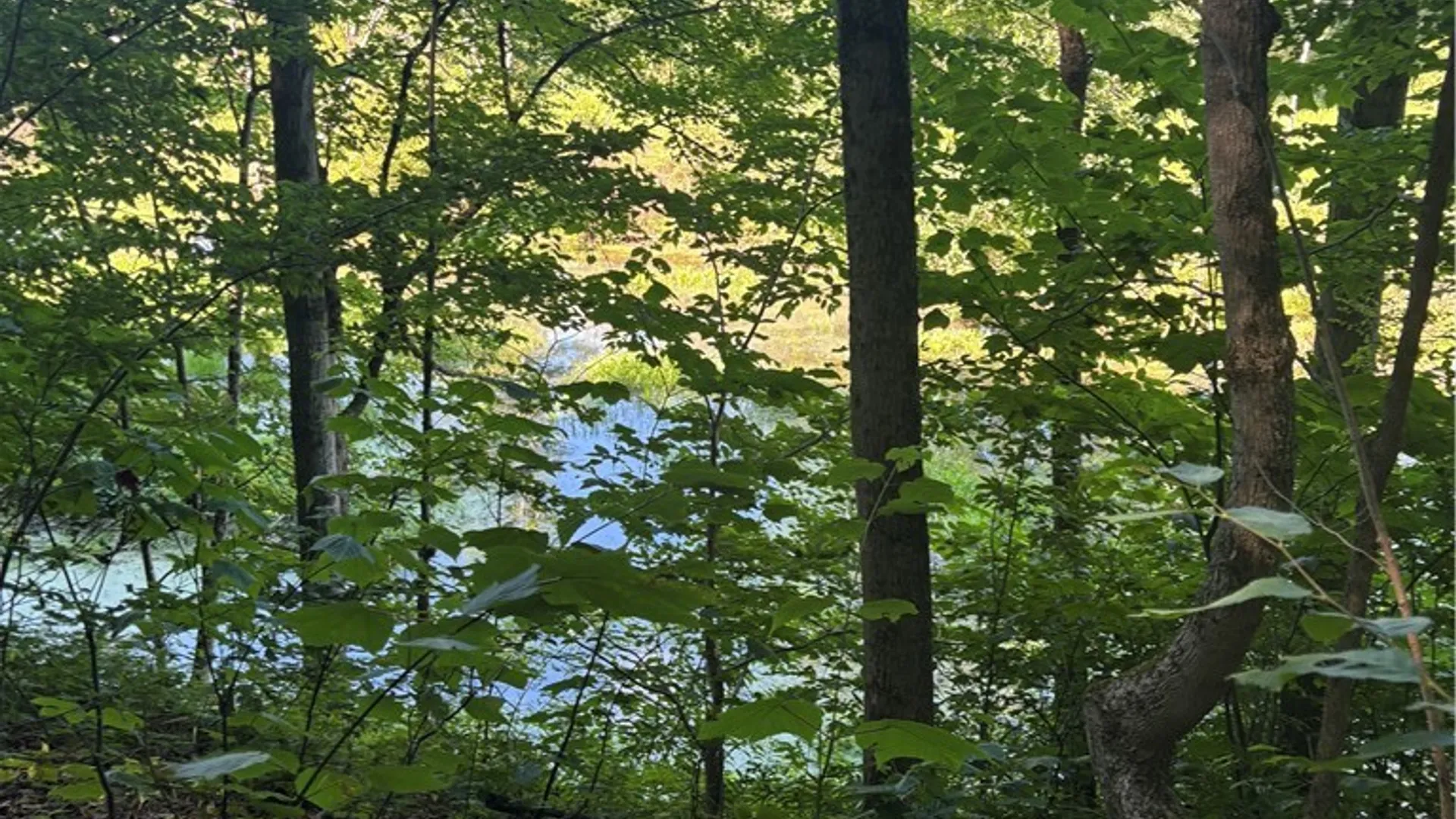 Property at 2045 Baxter Mills Road, Ischua, NY 14743 19