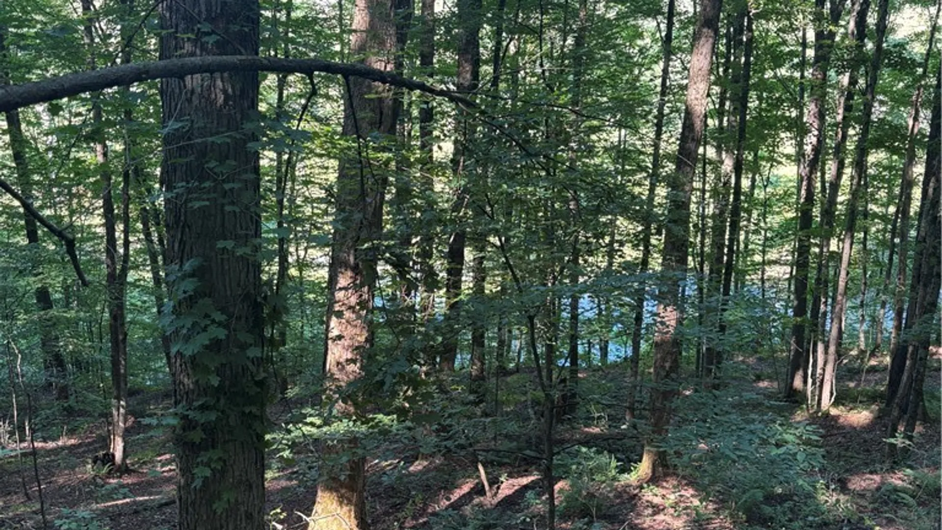 Property at 2045 Baxter Mills Road, Ischua, NY 14743 21