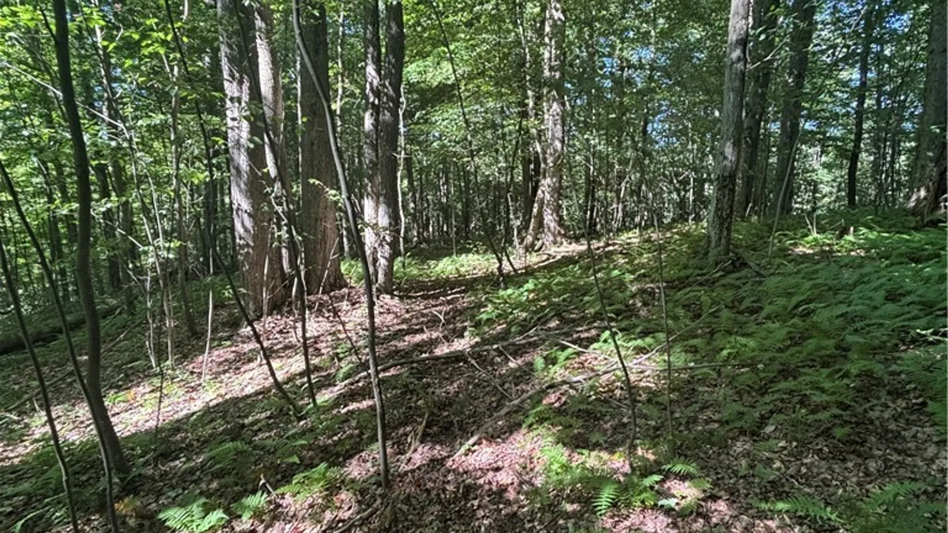 Property at 2045 Baxter Mills Road, Ischua, NY 14743 26