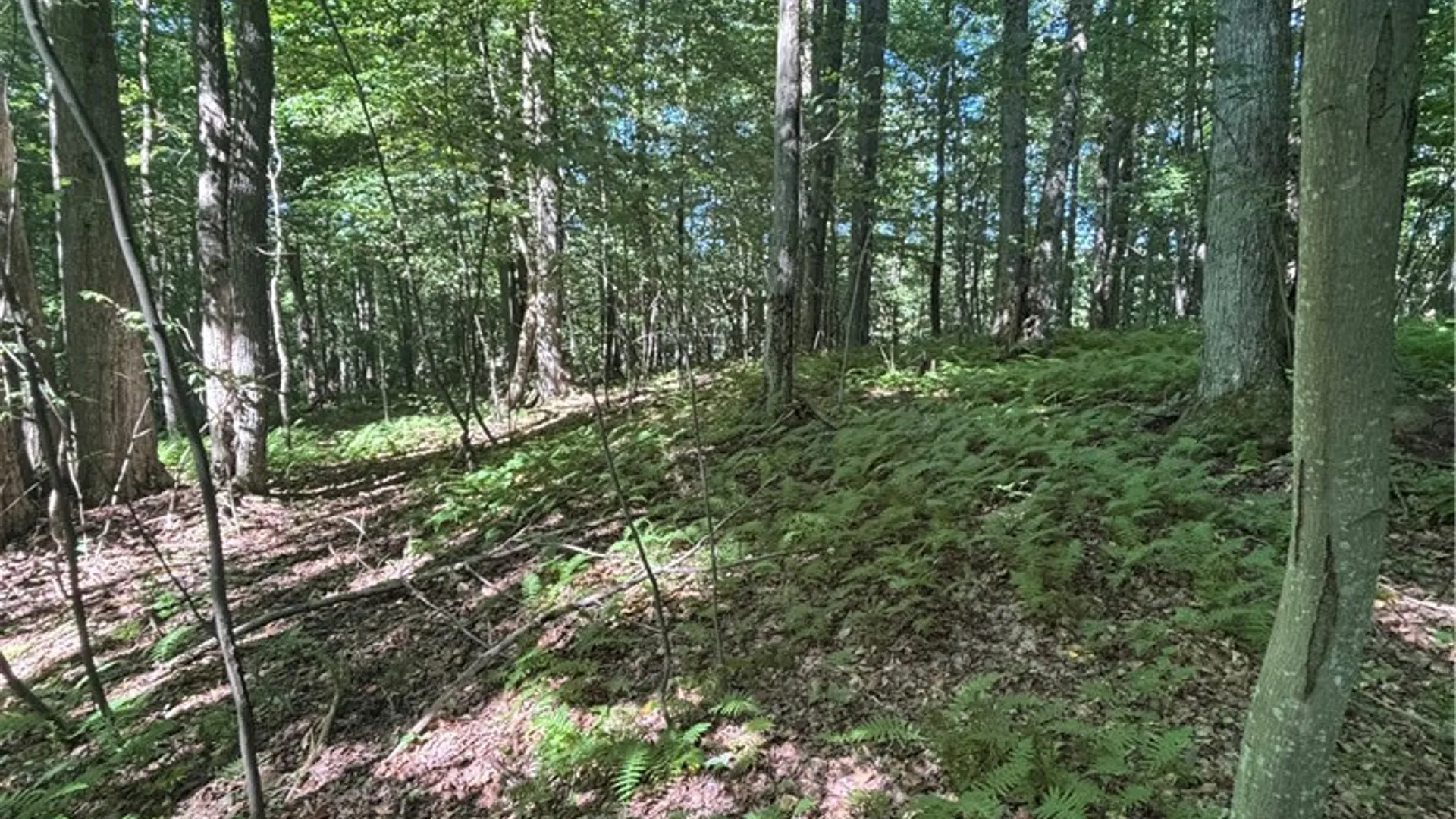 Property at 2045 Baxter Mills Road, Ischua, NY 14743 28