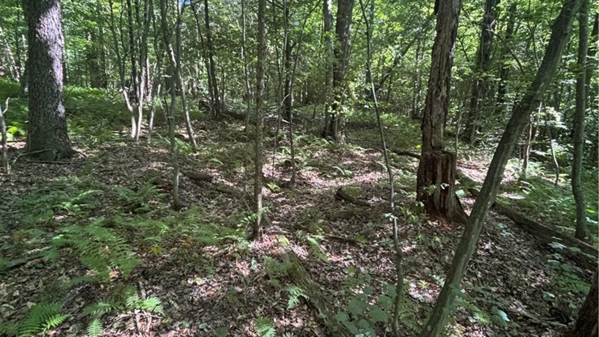 Property at 2045 Baxter Mills Road, Ischua, NY 14743 29