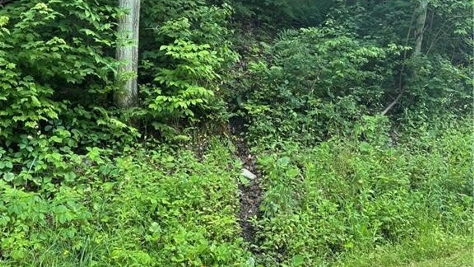 Property at 2045 Baxter Mills Road, Ischua, NY 14743 36