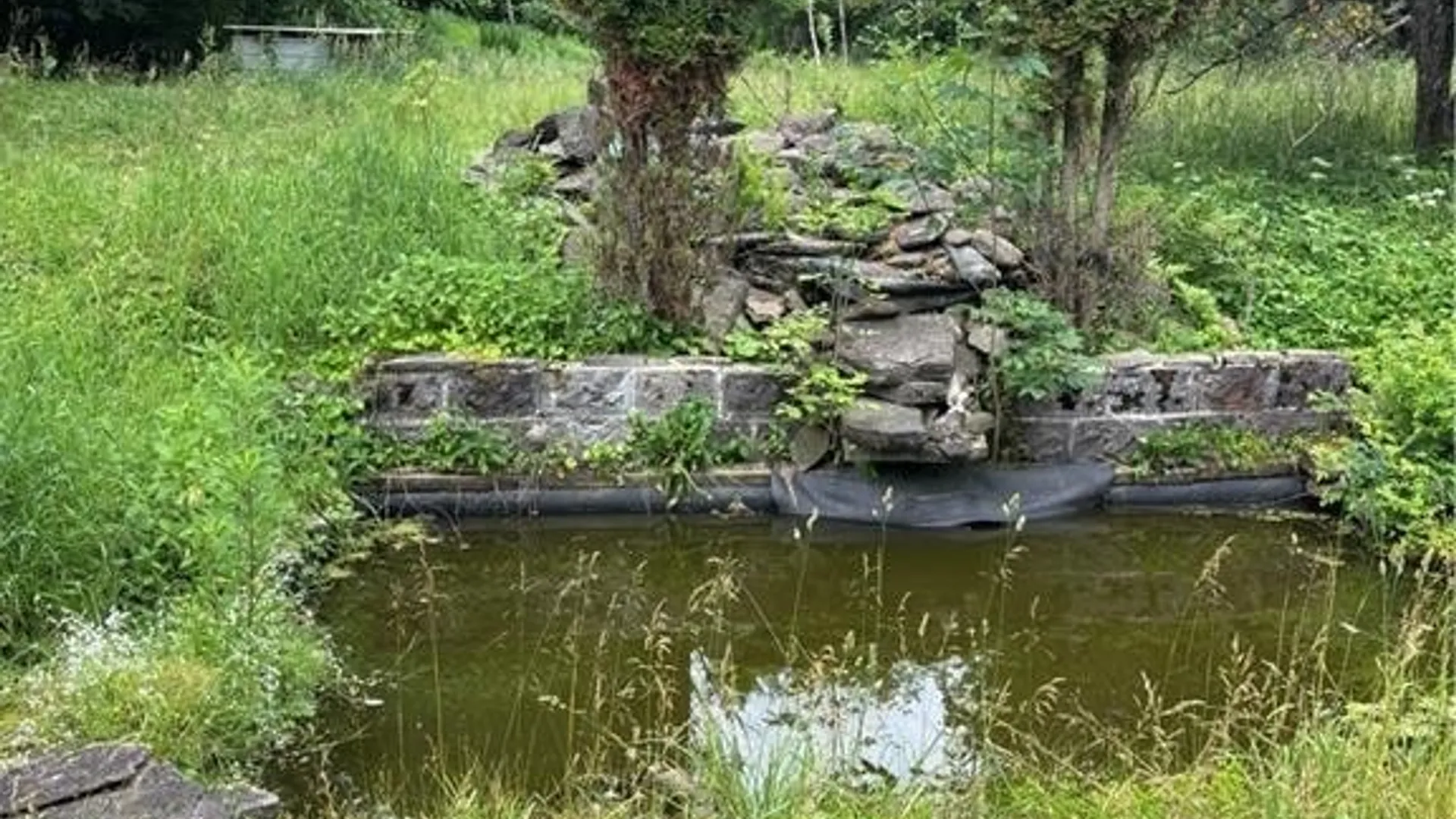 Property at 2045 Baxter Mills Road, Ischua, NY 14743 39
