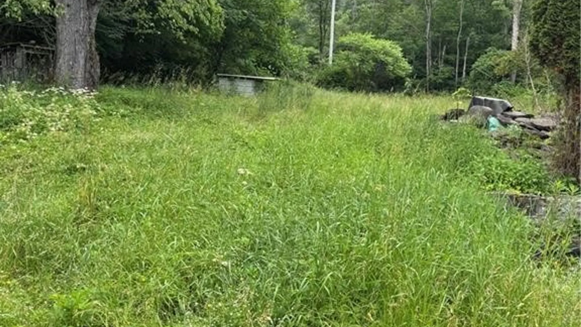 Property at 2045 Baxter Mills Road, Ischua, NY 14743 40