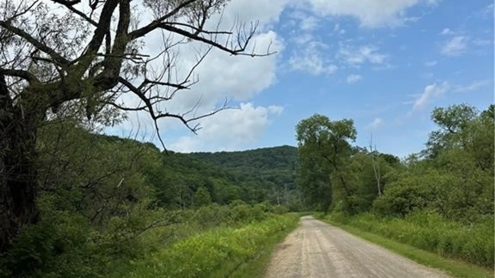Property at 2045 Baxter Mills Road, Ischua, NY 14743 41