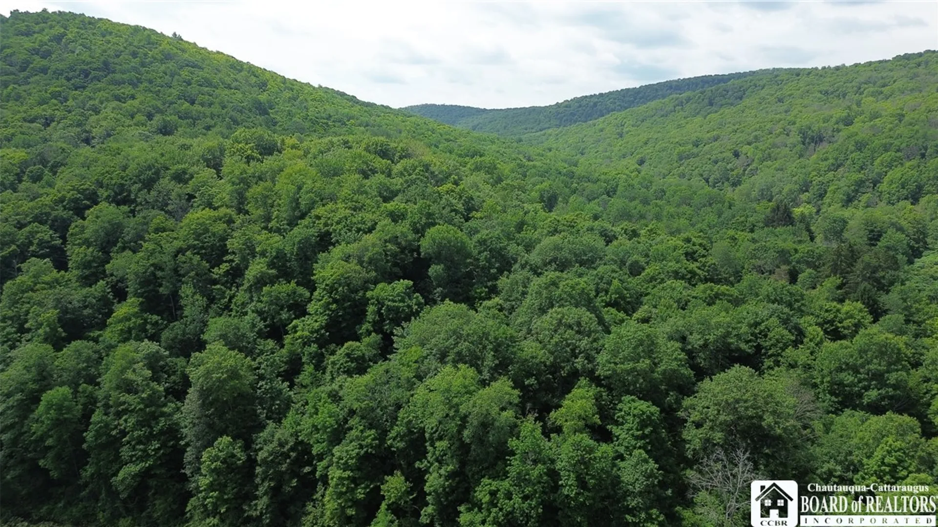 Property at 2045 Baxter Mills Road, Ischua, NY 14743 8