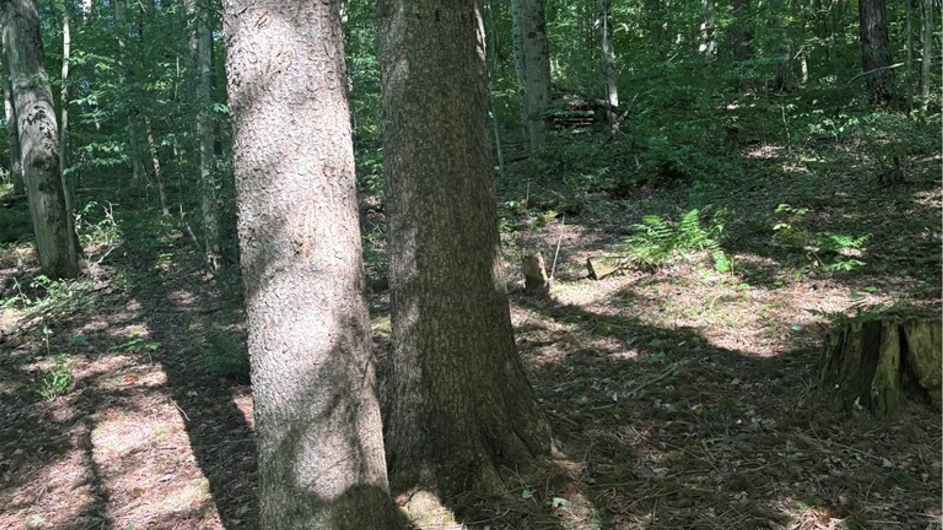 Property at 2045 Baxter Mills Road, Ischua, NY 14743 9