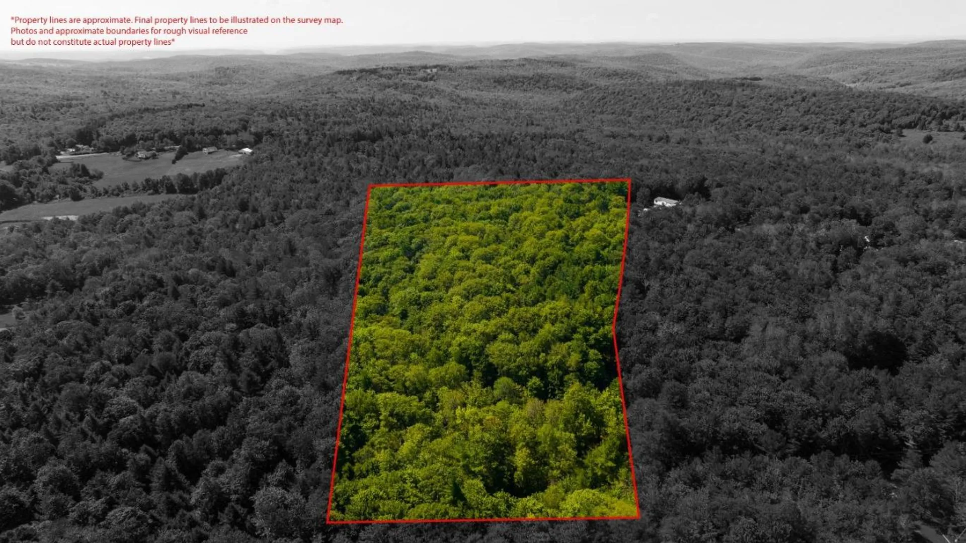 Property at 56 Belles Hollow Drive, Newfield, NY 14867 2