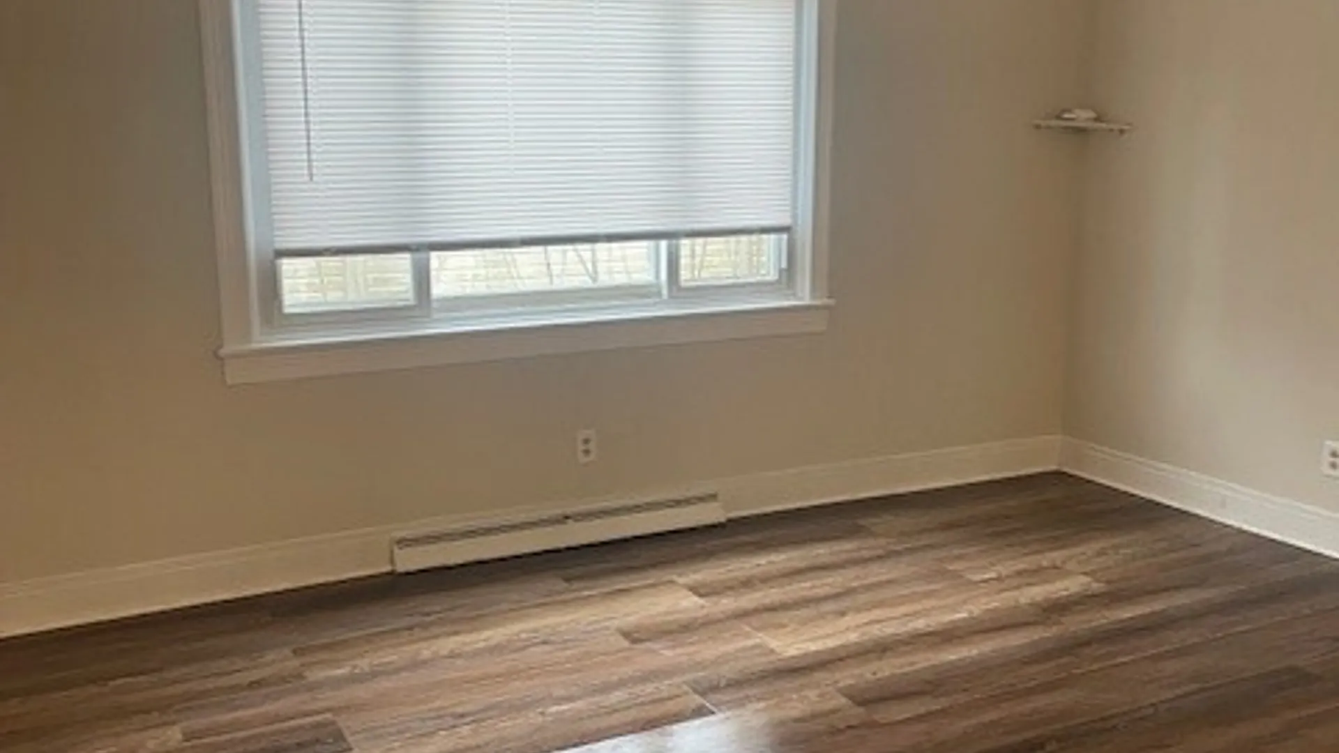 Property at 55 Hoffman Street, Elmira City, NY 14905 16