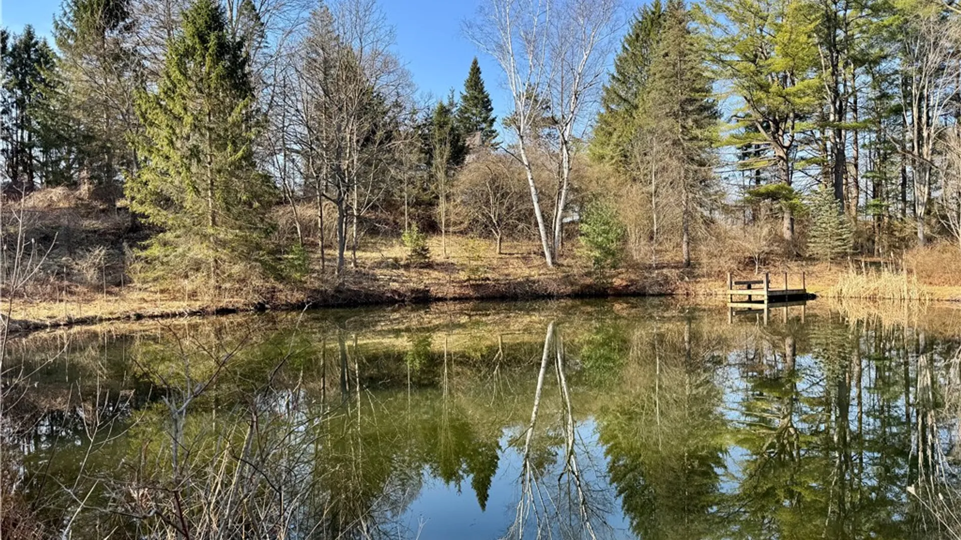 Property at 15 Lisa Lane, Ithaca Town, NY 14850 3