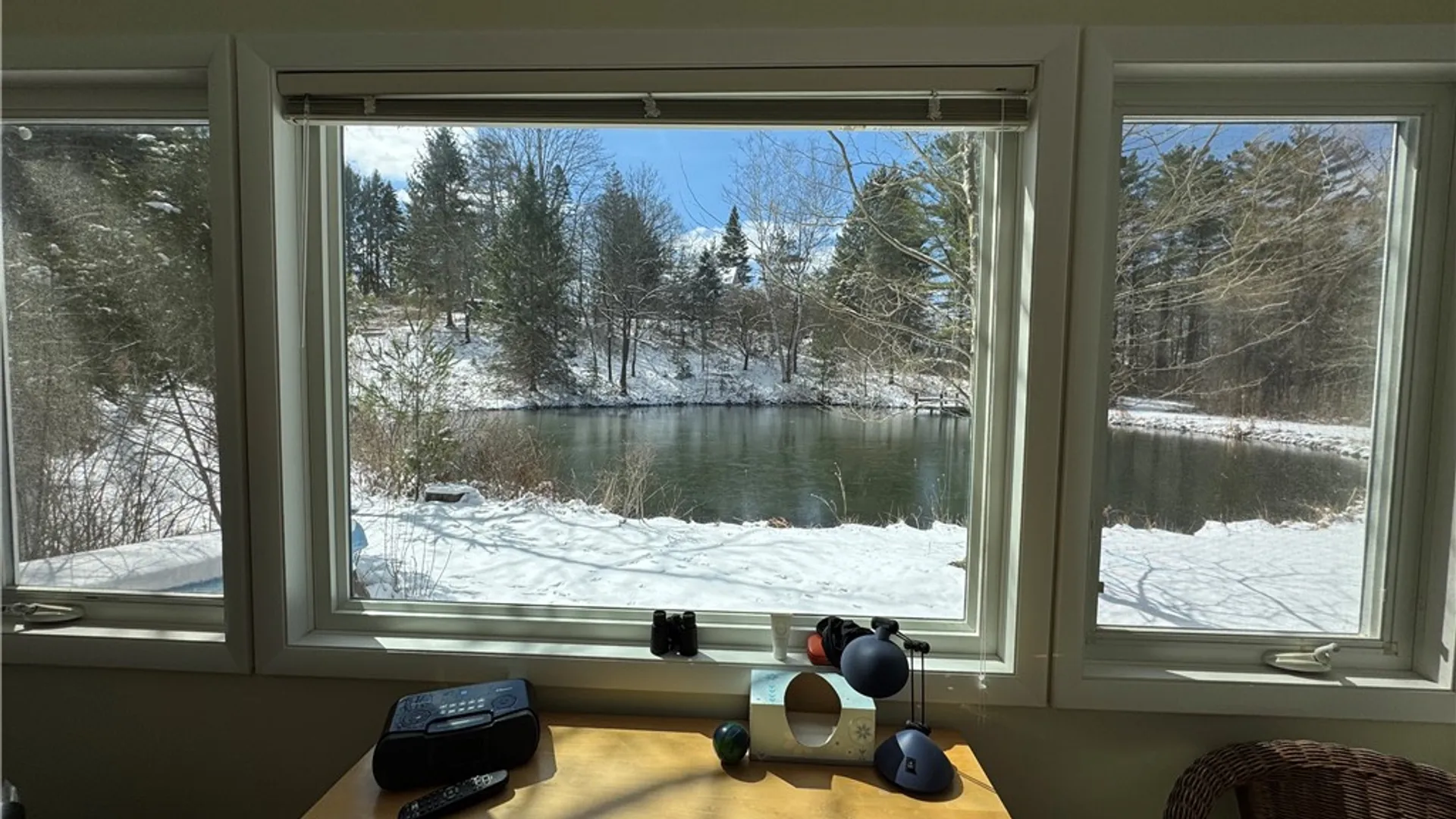 Property at 15 Lisa Lane, Ithaca Town, NY 14850 39