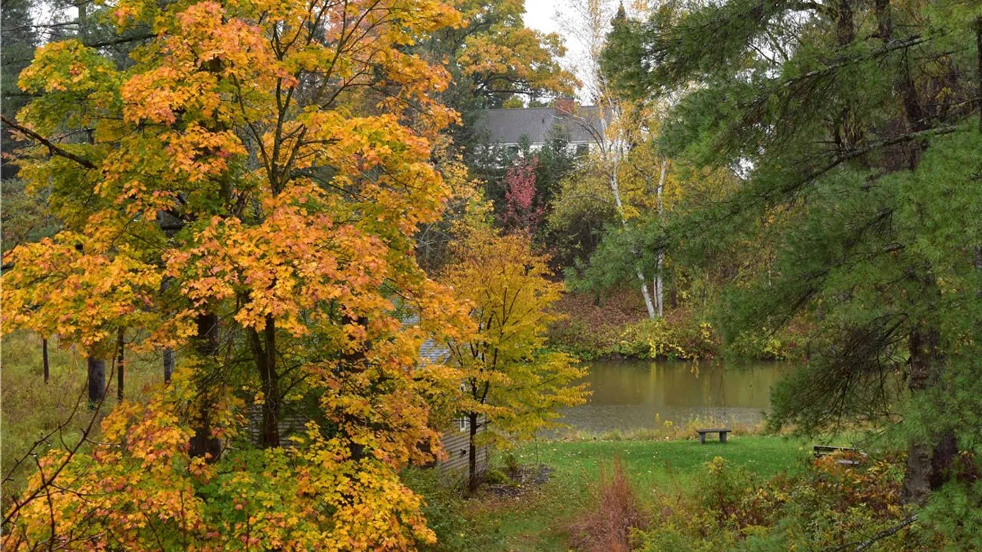 Property at 15 Lisa Lane, Ithaca Town, NY 14850 40