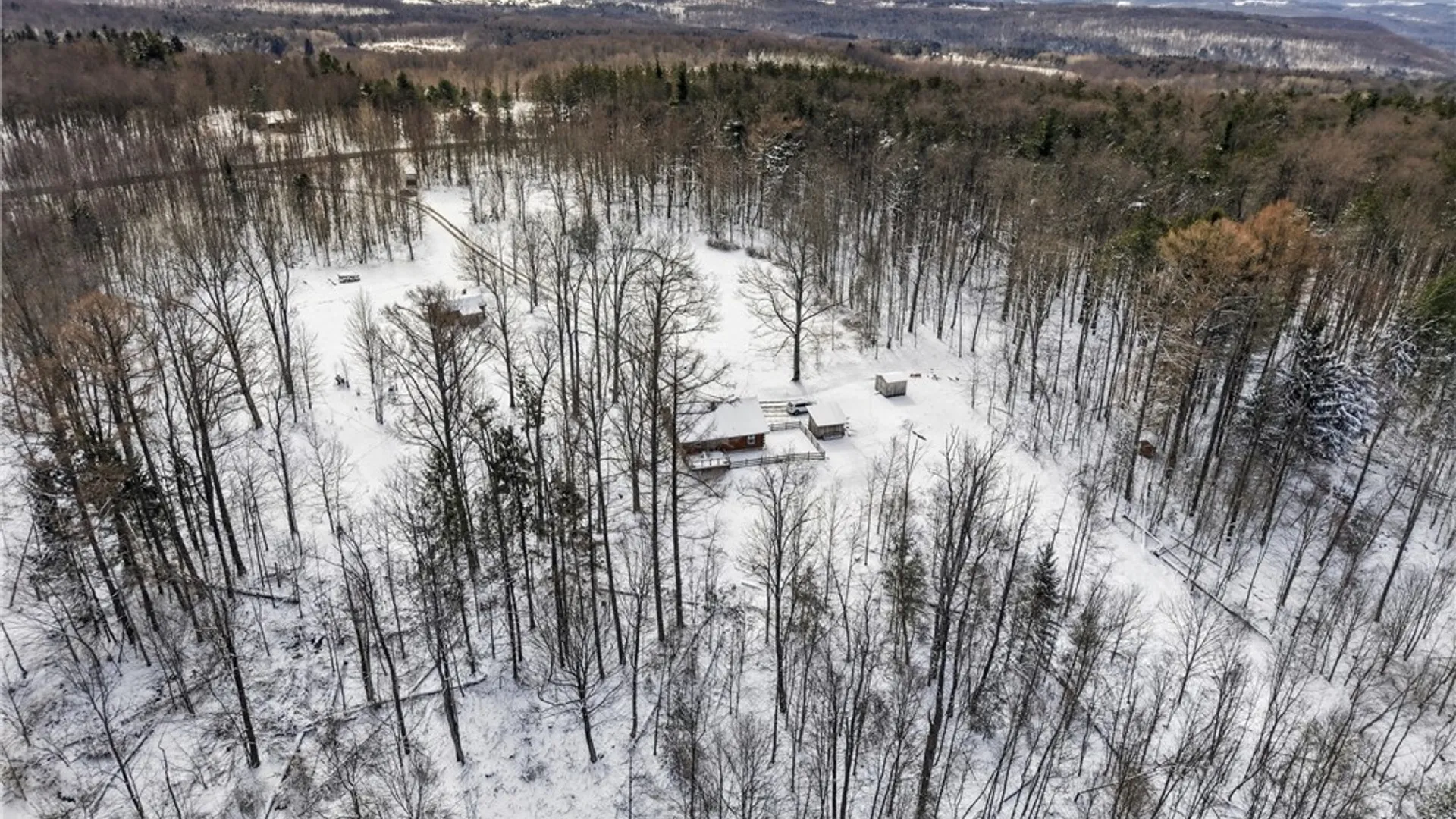 Property at 4704 Town Line Road, Yorkshire, NY 14042 46