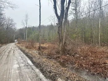 0 Spring Road, West Sparta, NY 14437