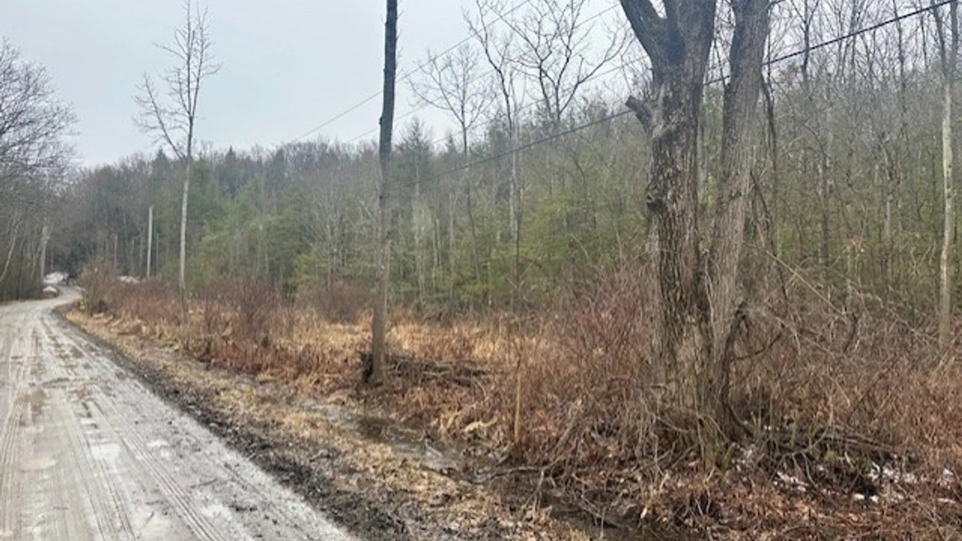 Property at 0 Spring Road, Ossian, NY 14437 3