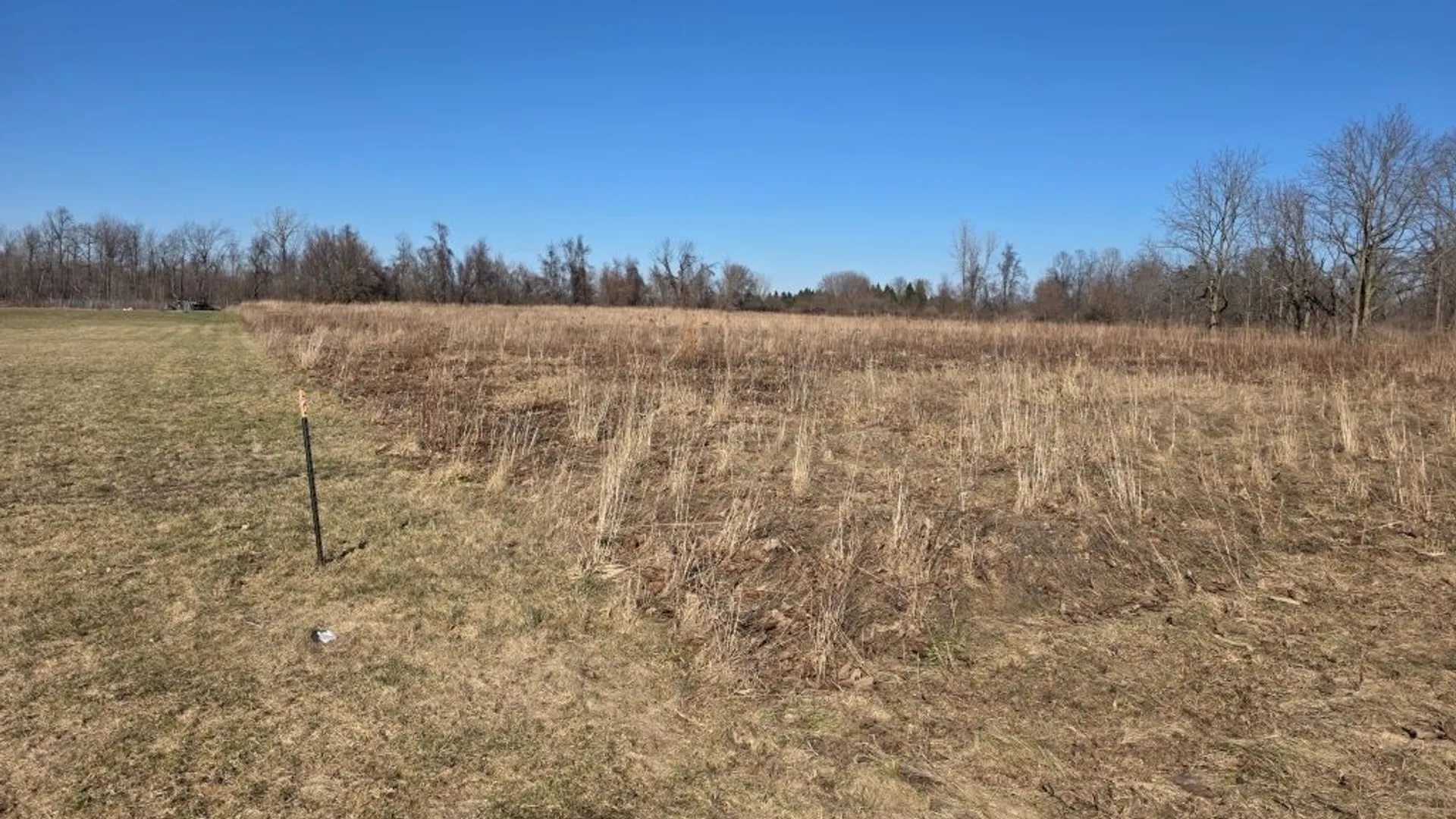 Property at 10880 Miland Road, Clarence, NY 14032 2