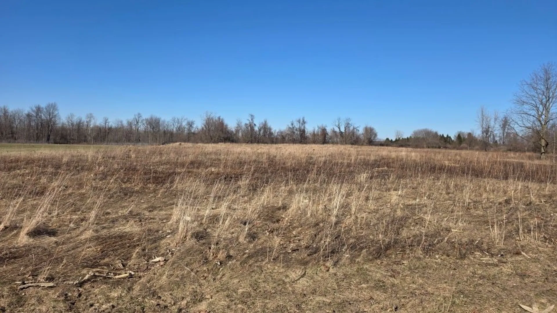 Property at 10880 Miland Road, Clarence, NY 14032 3