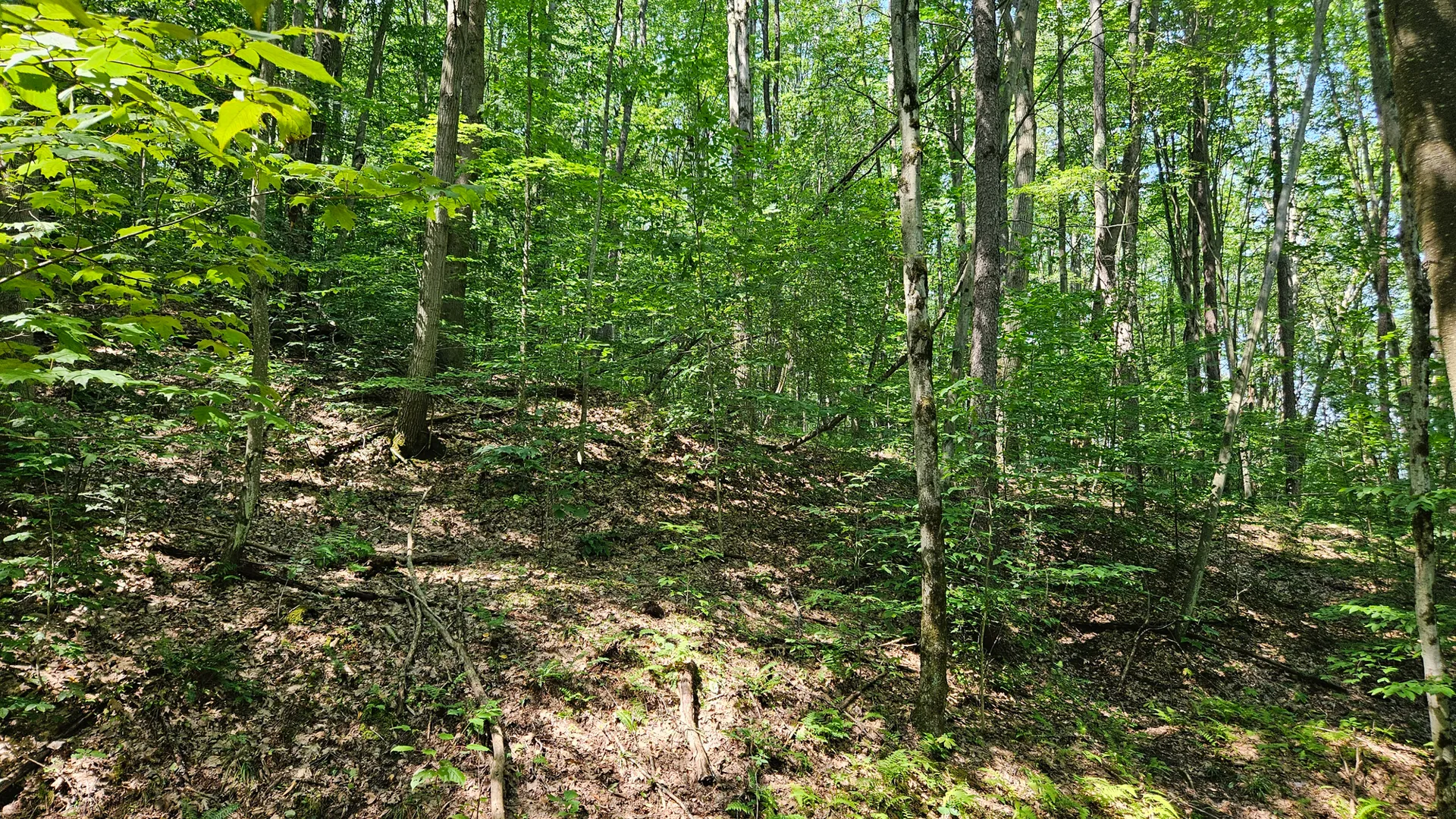 Property at Steam Valley Road, Olean, NY 14760 15