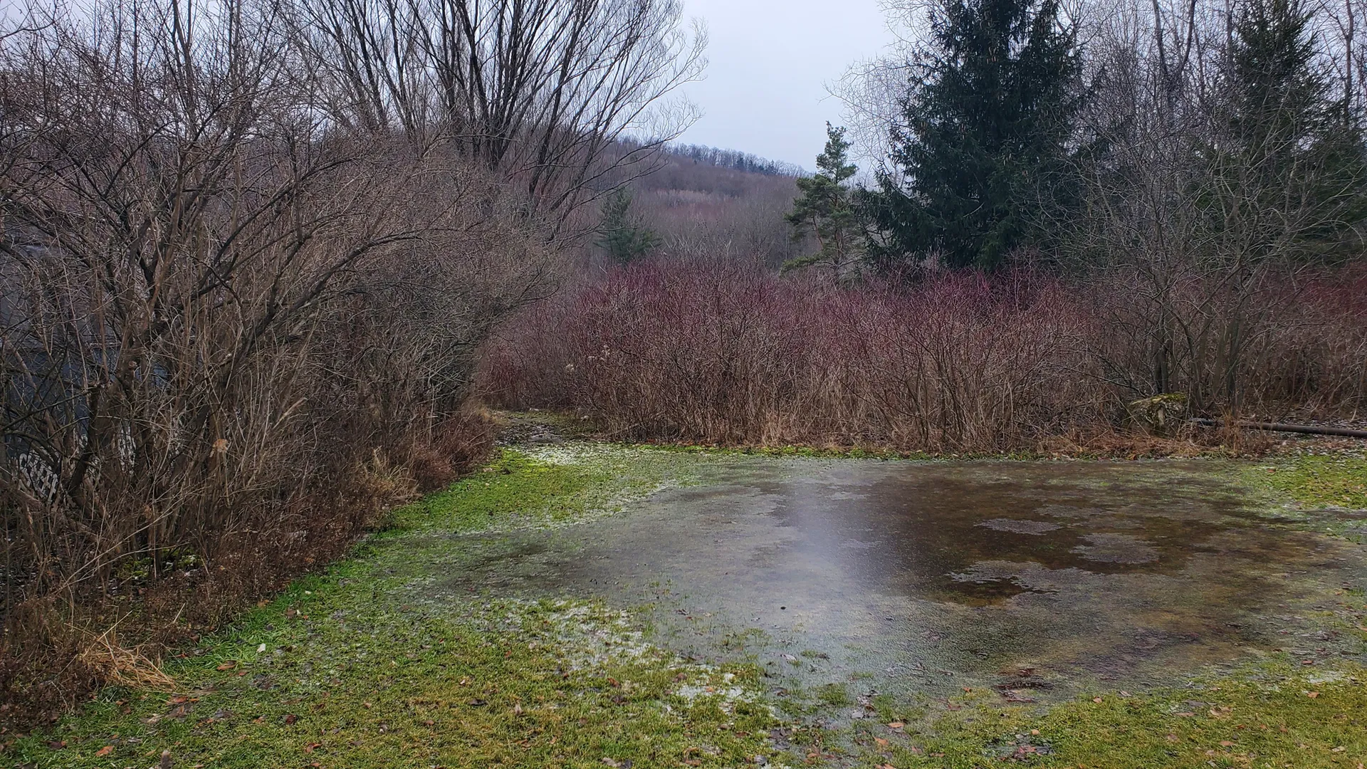 Property at Steam Valley Road, Olean, NY 14760 6