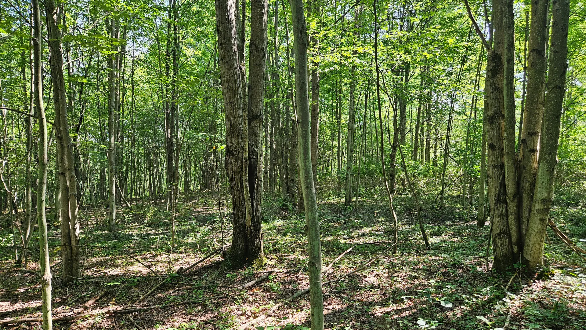 Property at Steam Valley Road, Olean, NY 14760 7