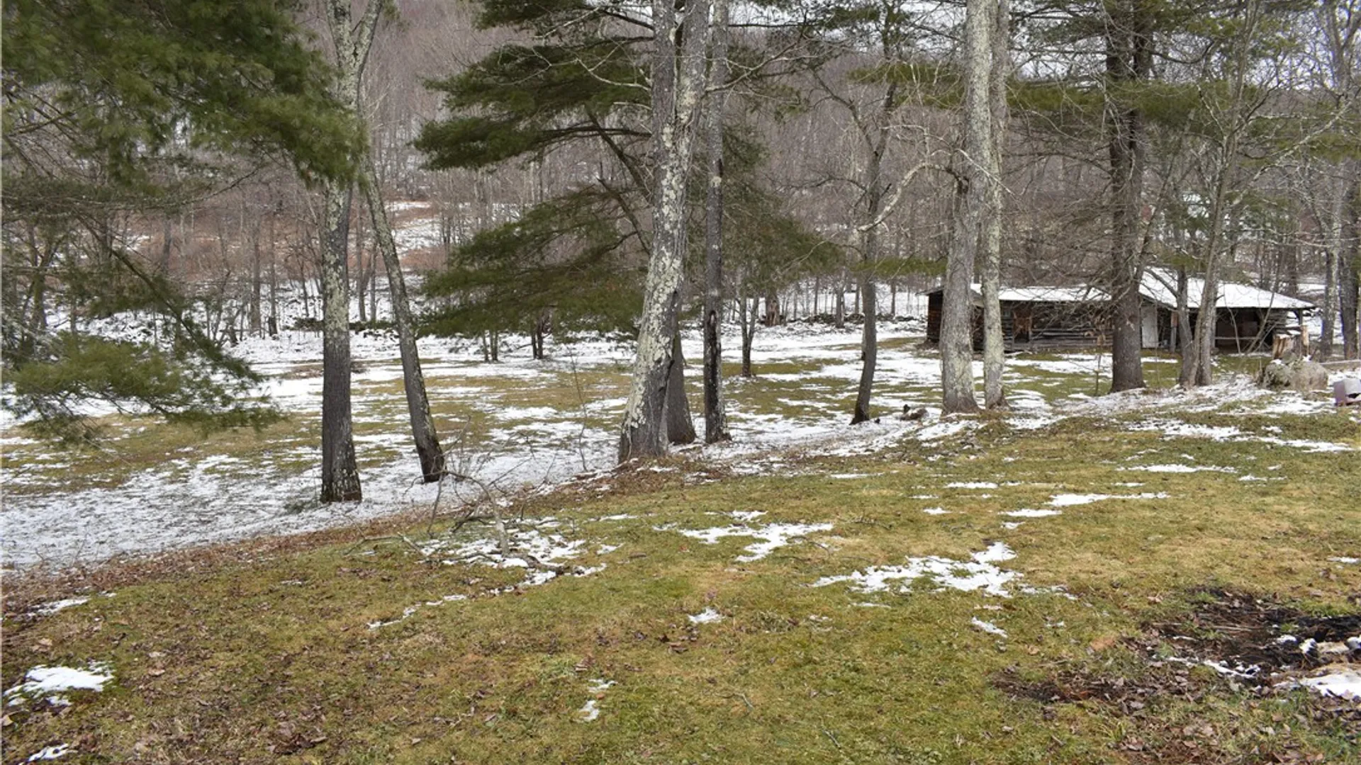 Property at 181 Streeter Hill Road, Harpersfield, NY 12093 5