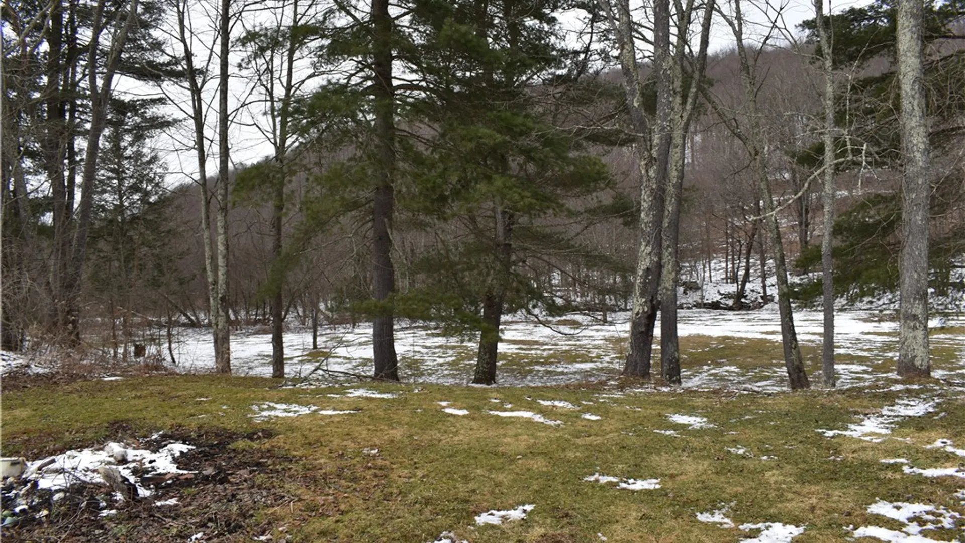 Property at 181 Streeter Hill Road, Harpersfield, NY 12093 6