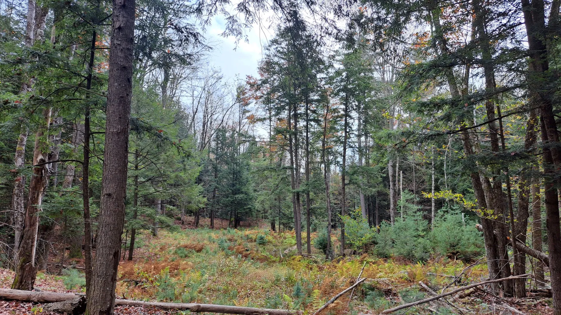 Property at Friends Lake Road, Chestertown, NY 12817 36