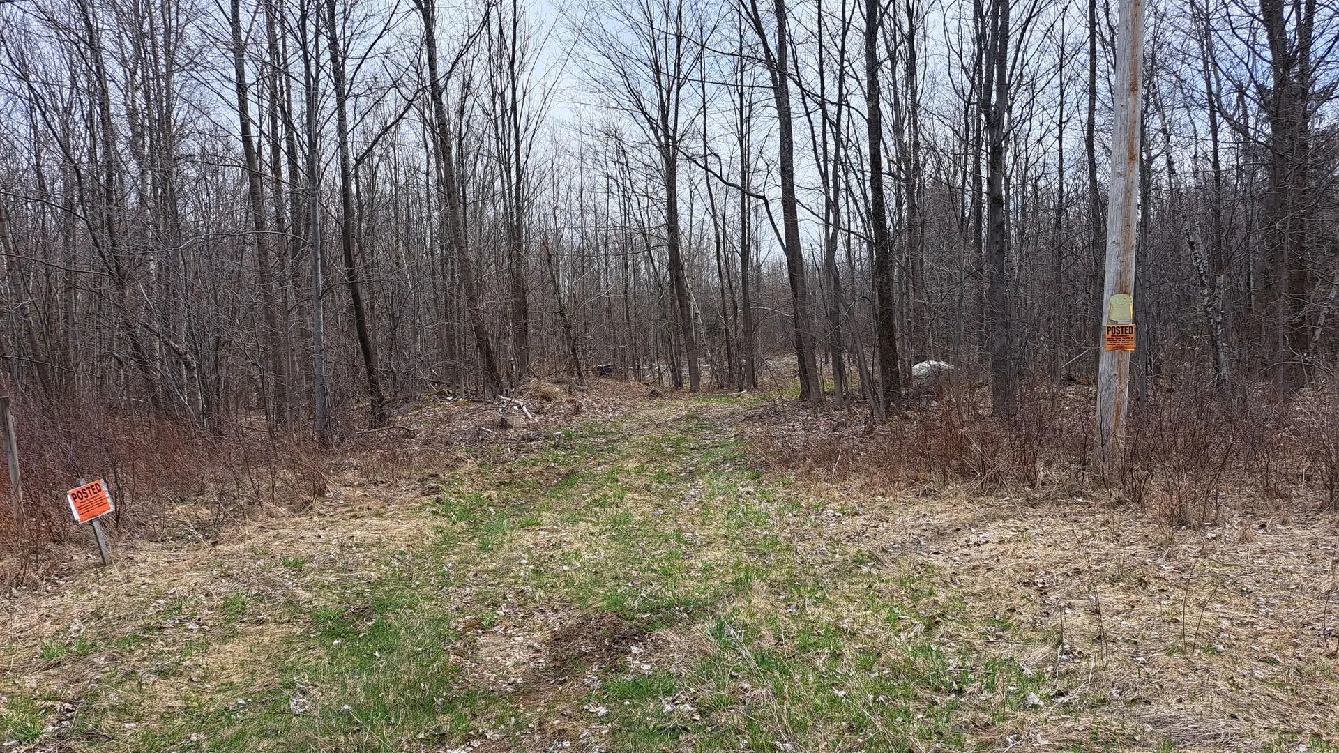 Property at Military Turnpike, Ellenburg Depot, NY 12935 12