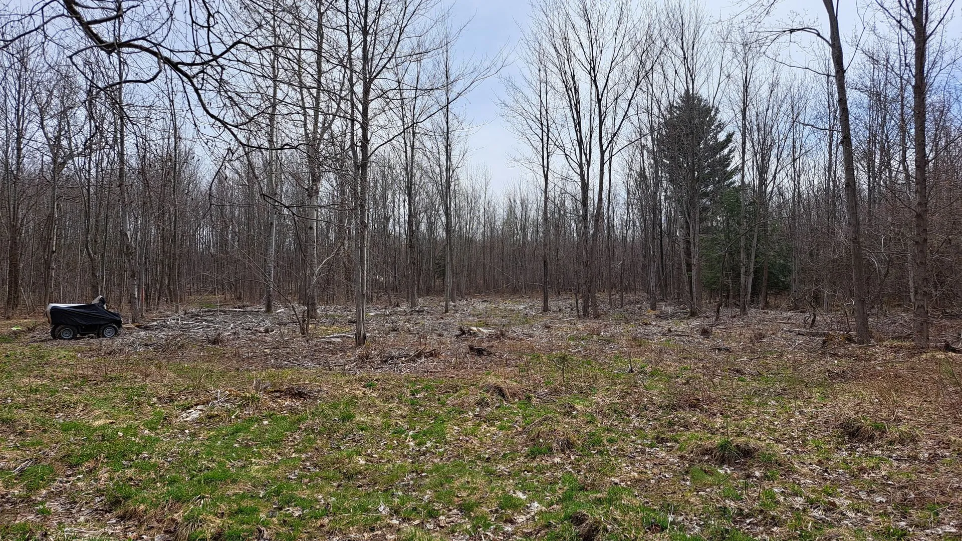 Property at Military Turnpike, Ellenburg Depot, NY 12935 13