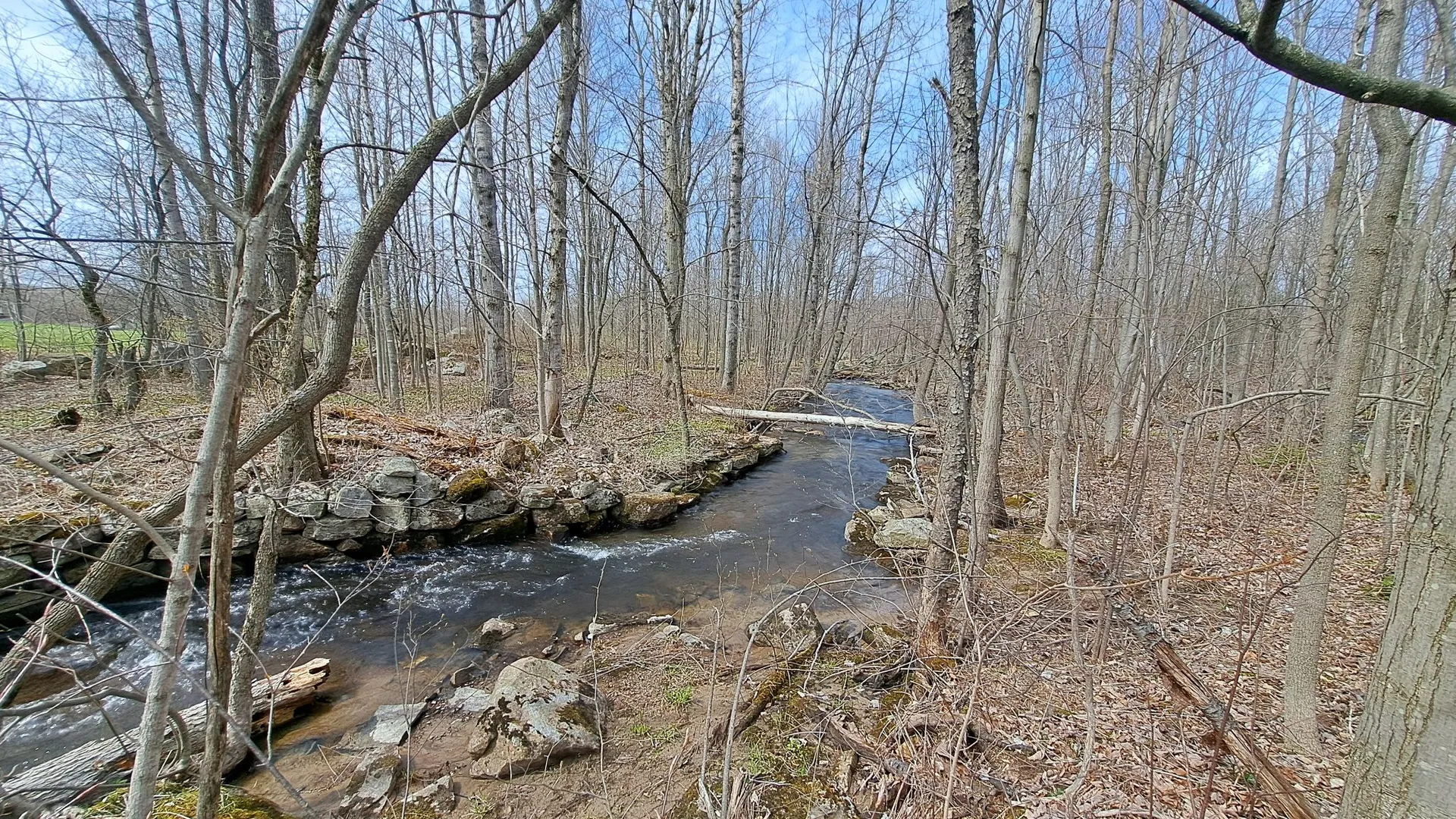 Property at Military Turnpike, Ellenburg Depot, NY 12935 2