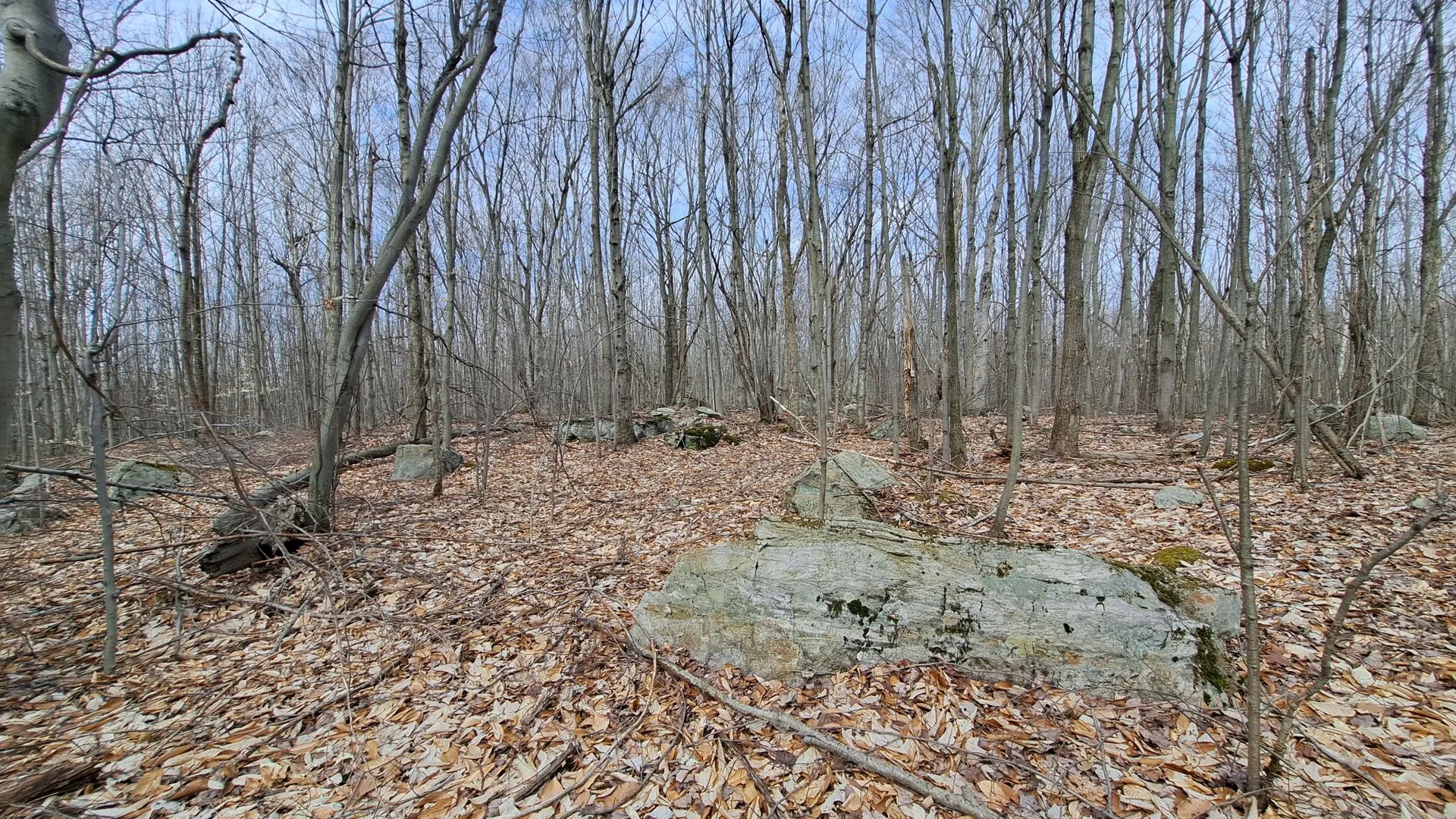 Property at Military Turnpike, Ellenburg Depot, NY 12935 31