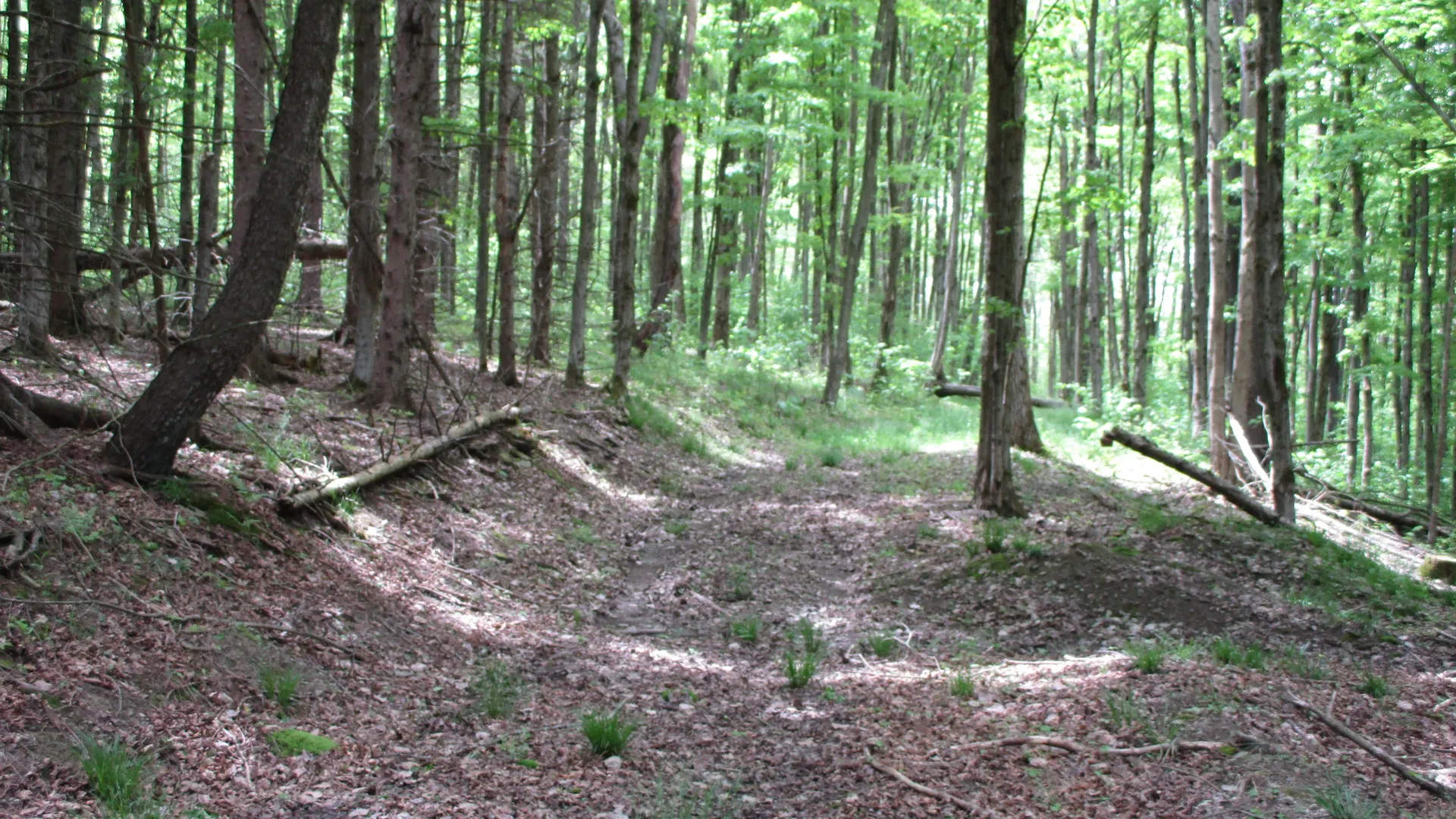 Property at Union Valley Road, Hinsdale, NY 14743 21